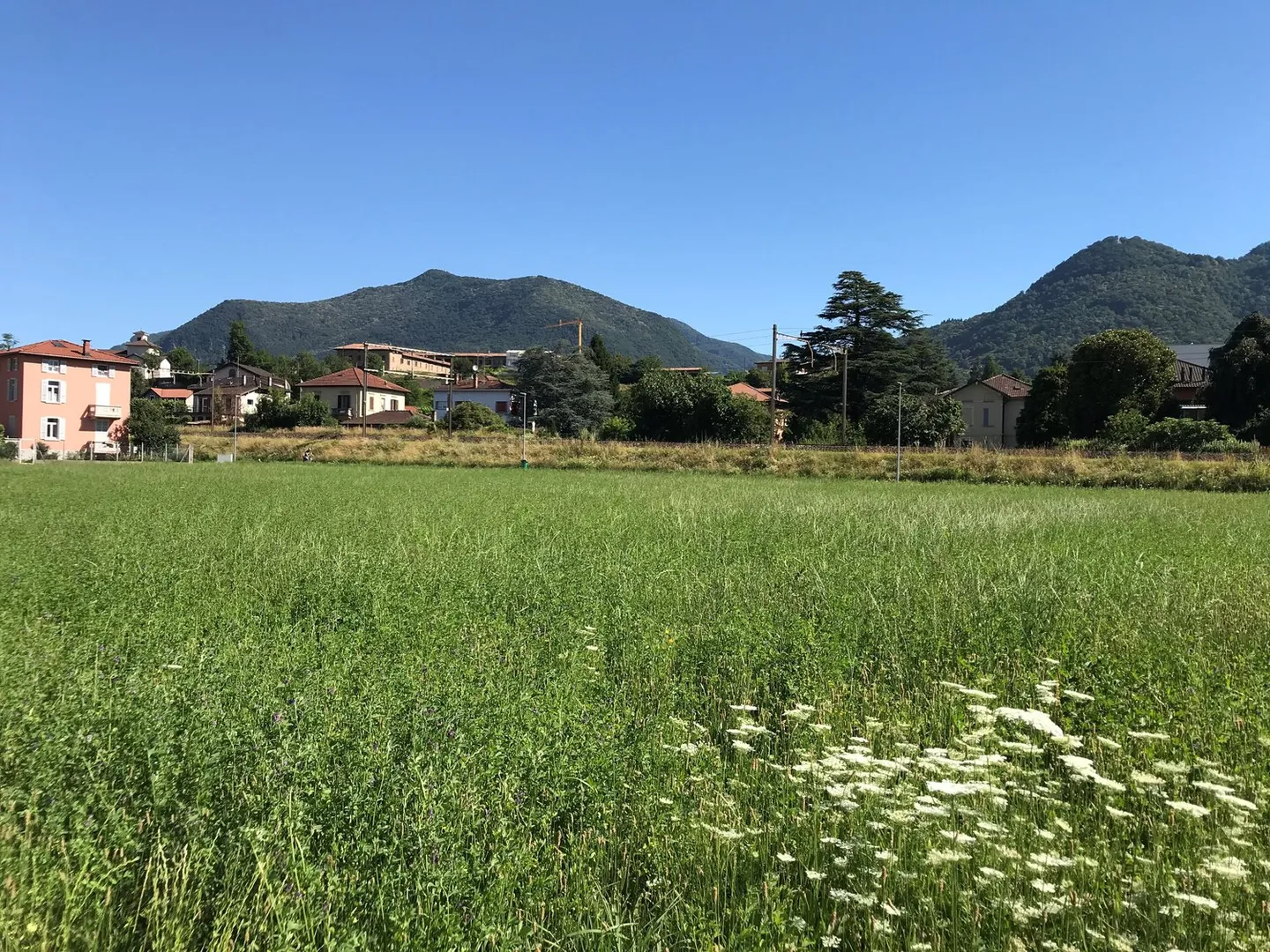 Buildable land with easy access - Photo 14 of 17