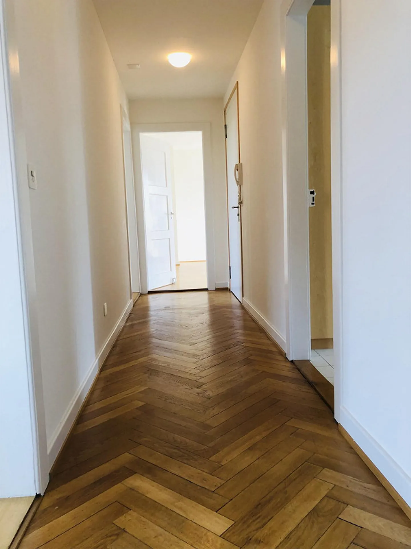Old building apartment with herringbone parquet (to ownership standard) - Photo 5 of 15