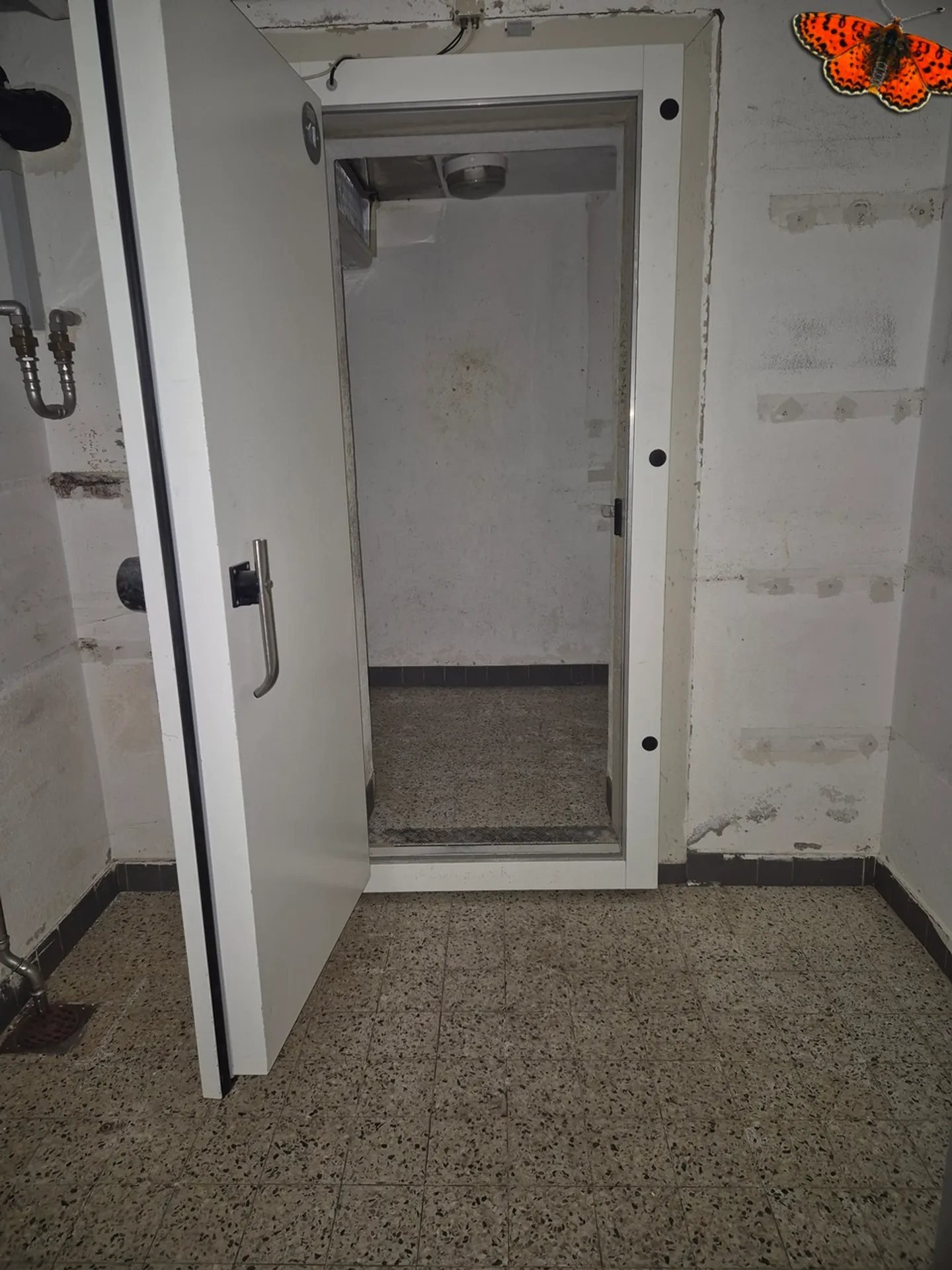 SPAZIO COMMERCIALE 65 M² - CHARMEY - Foto 4 di 6