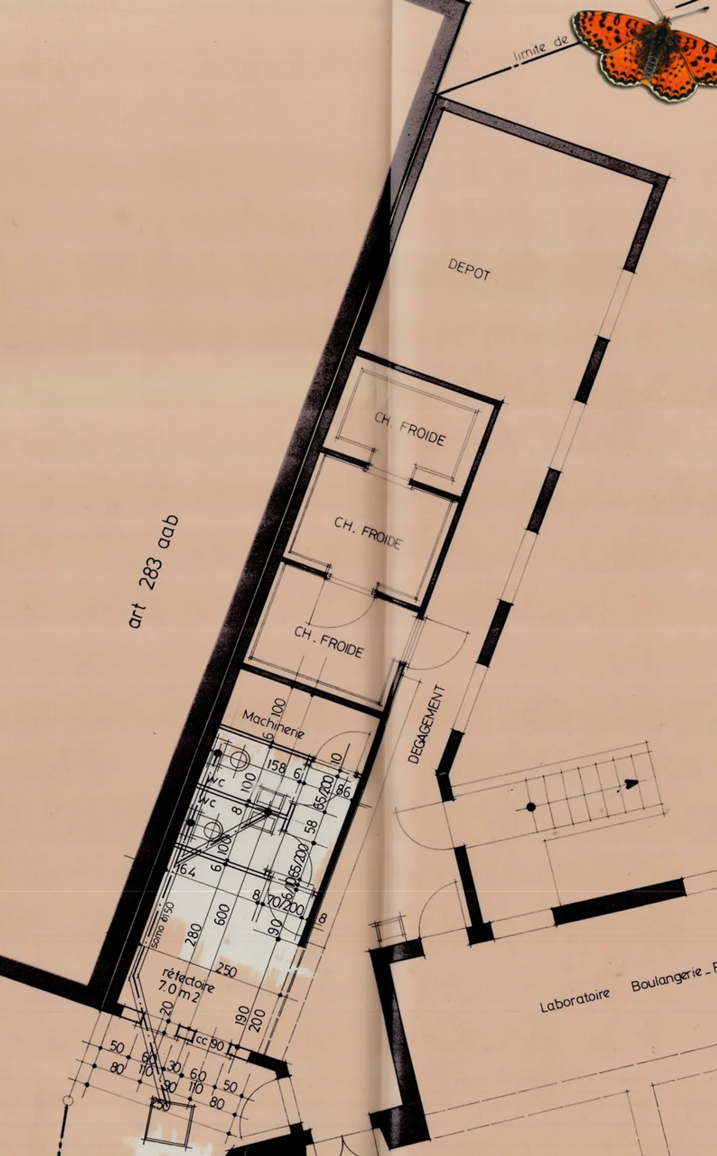 SPAZIO COMMERCIALE 65 M² - CHARMEY - Foto 5 di 6