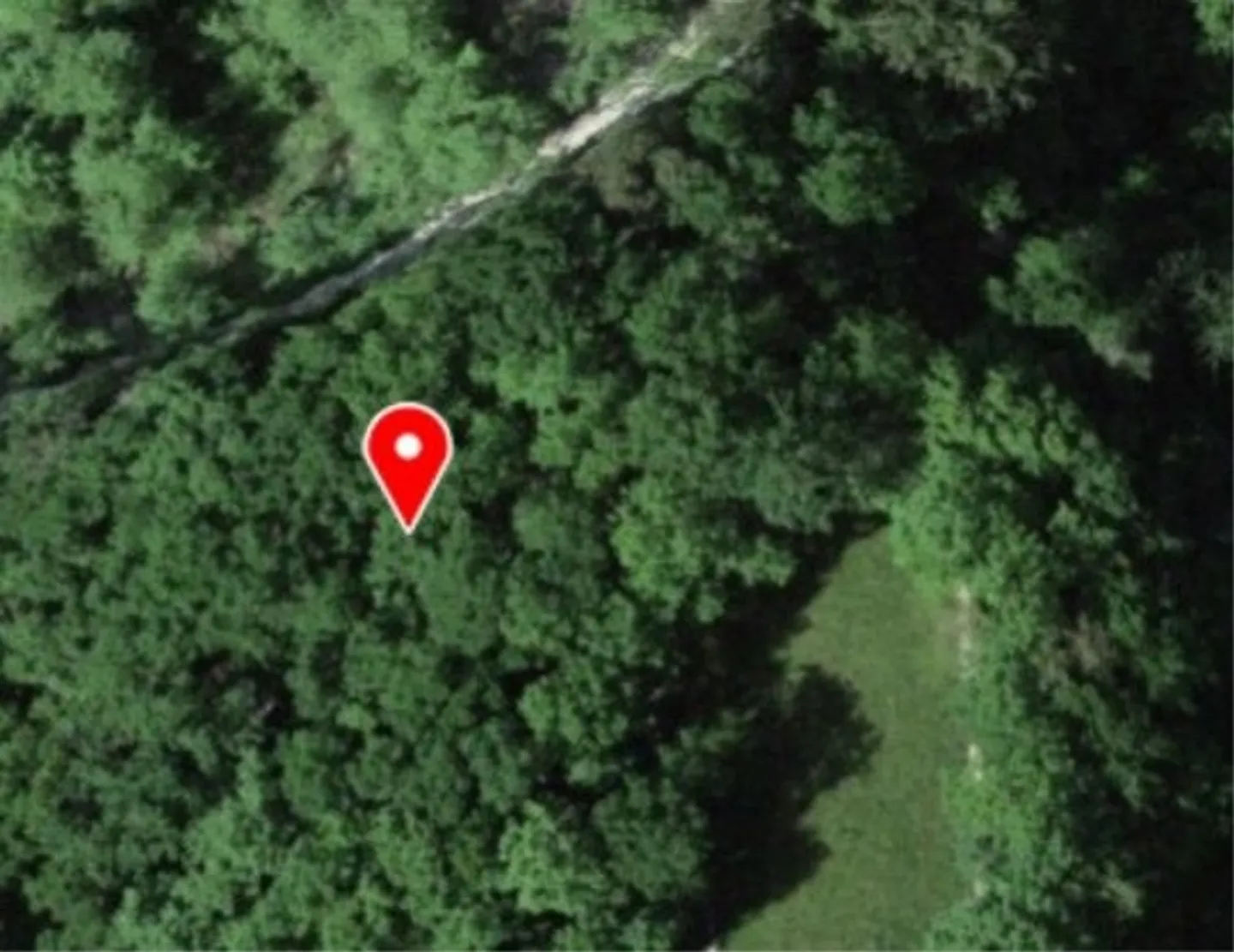 *Two plots of dense forest with rocks* - Photo 1 of 4