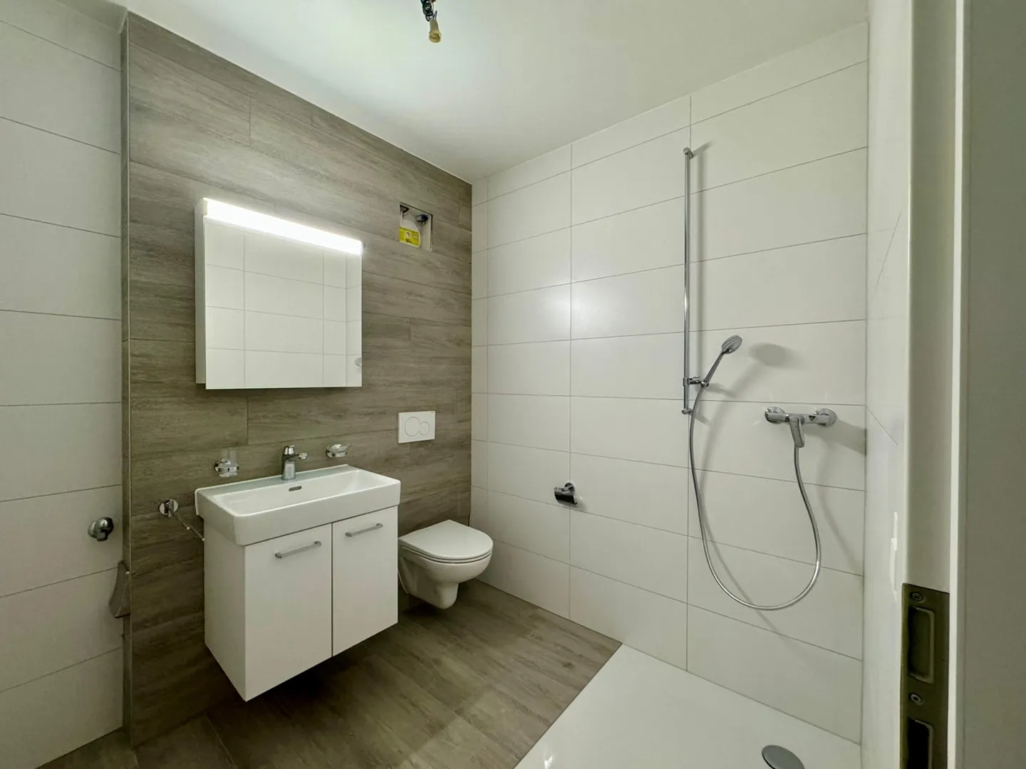 Magnificent penthouse with superb view, large mezzanine and nearby transport - Photo 10 of 13