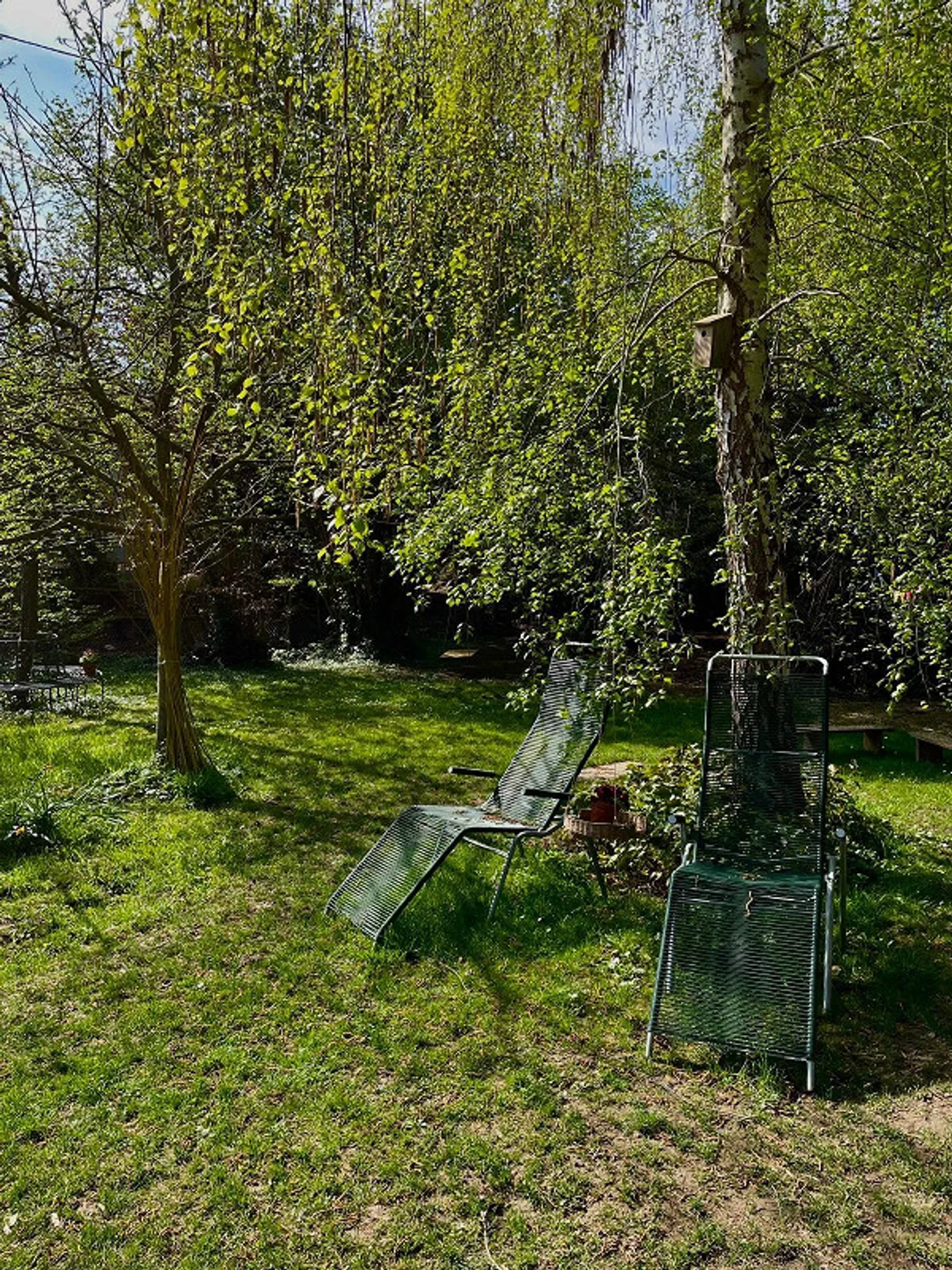 7 1/2-Room Single Family Home with Building Land - Photo 3 of 8