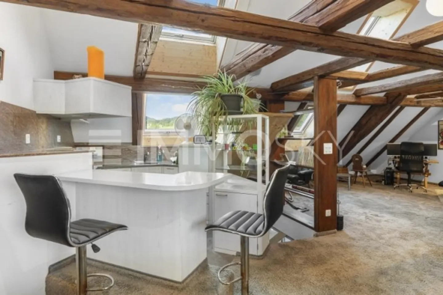 «Einzigartige Liegenschaft mit schöner Einlegerwohnung» - Foto 4 von 7