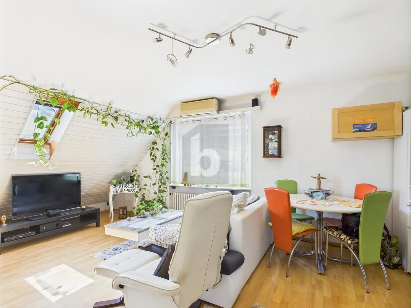 CHARMANT KLEIN UND HELL - Foto 1 von 6