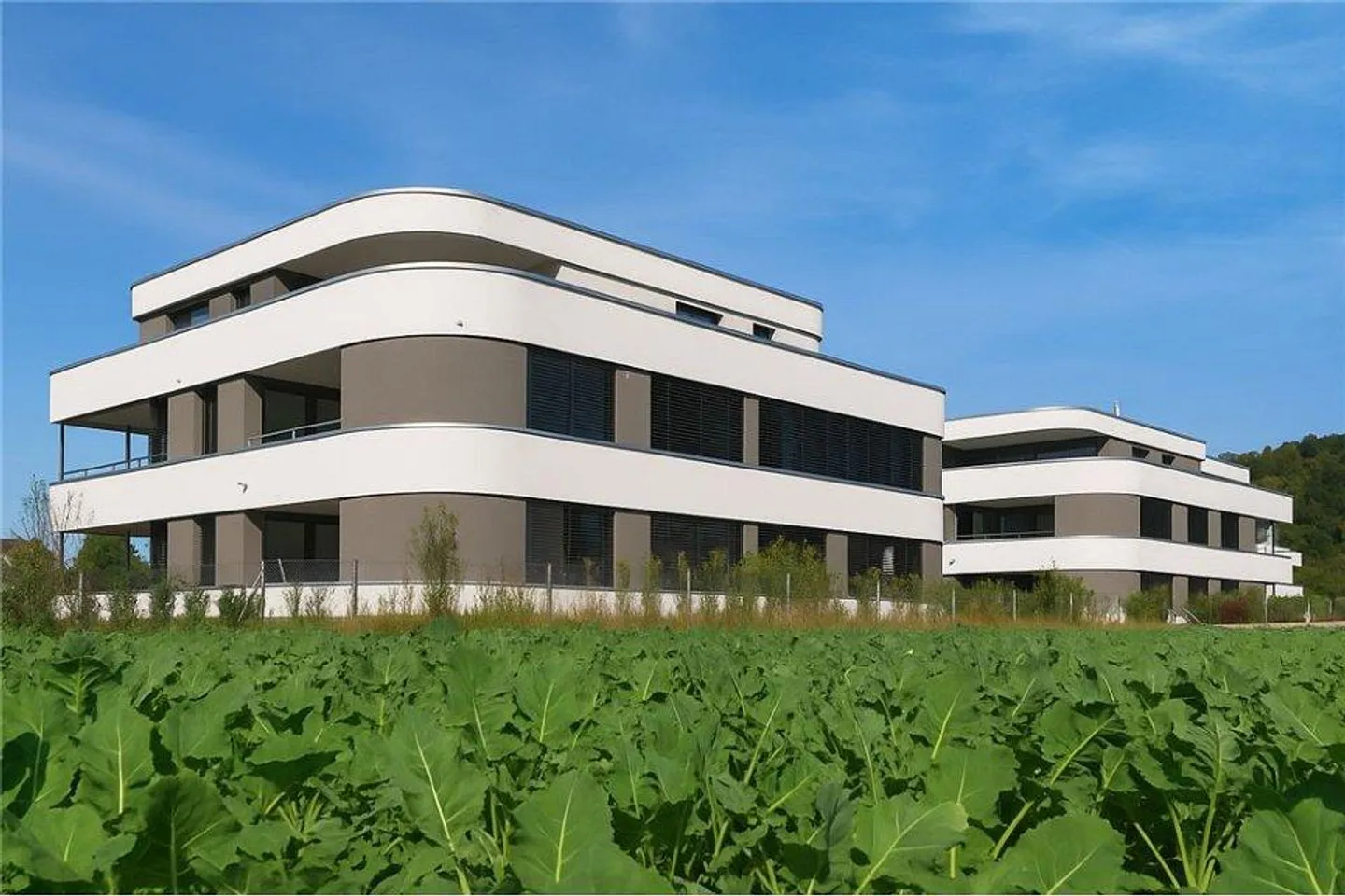 Annuncio del progetto: Vita moderna in un ambiente verde - Foto 5 di 7