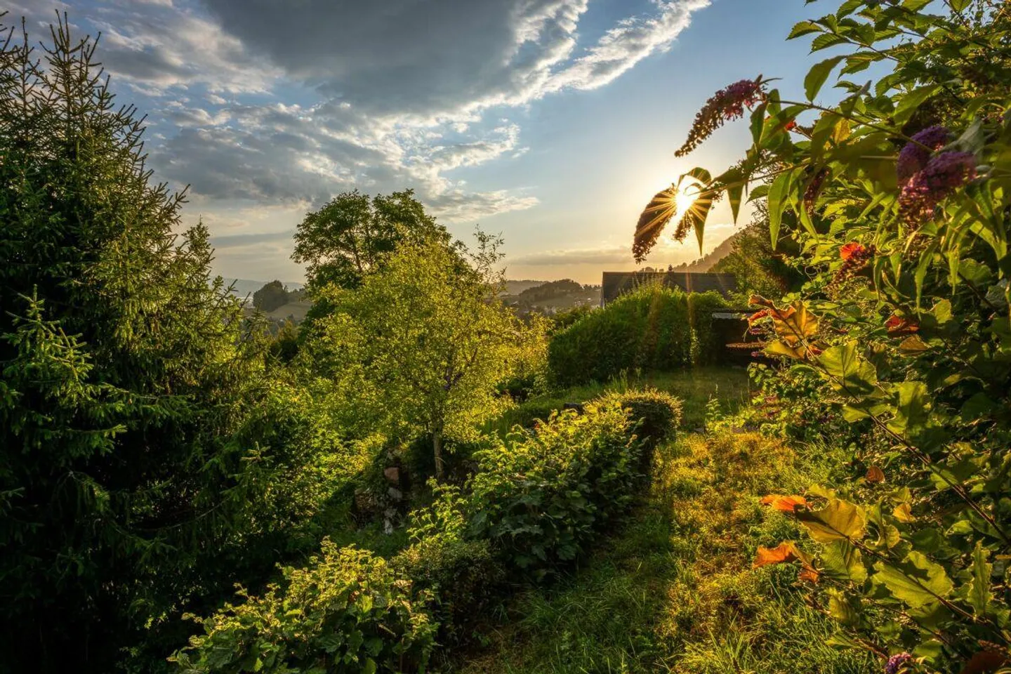 Exklusive Aussichtslage mit Weitblick über die Linthebene bis zum Z... - Photo 3 of 6