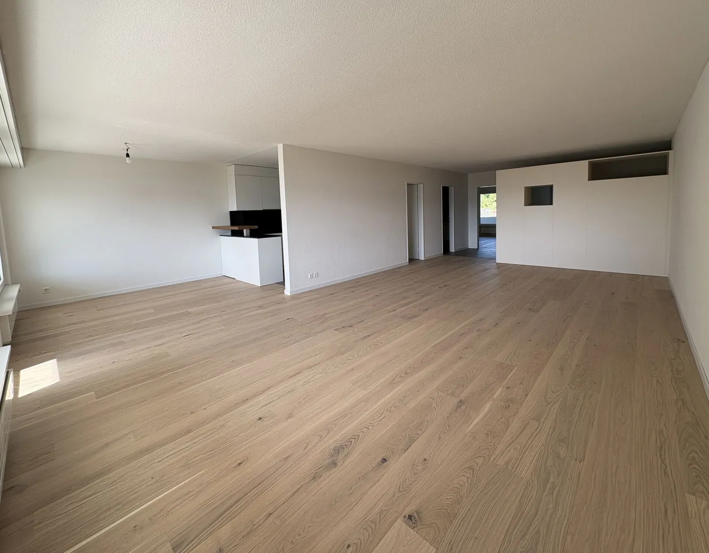 Prima occupazione dopo ristrutturazione - Vivere sul lago di Zurigo - Foto 5 di 10