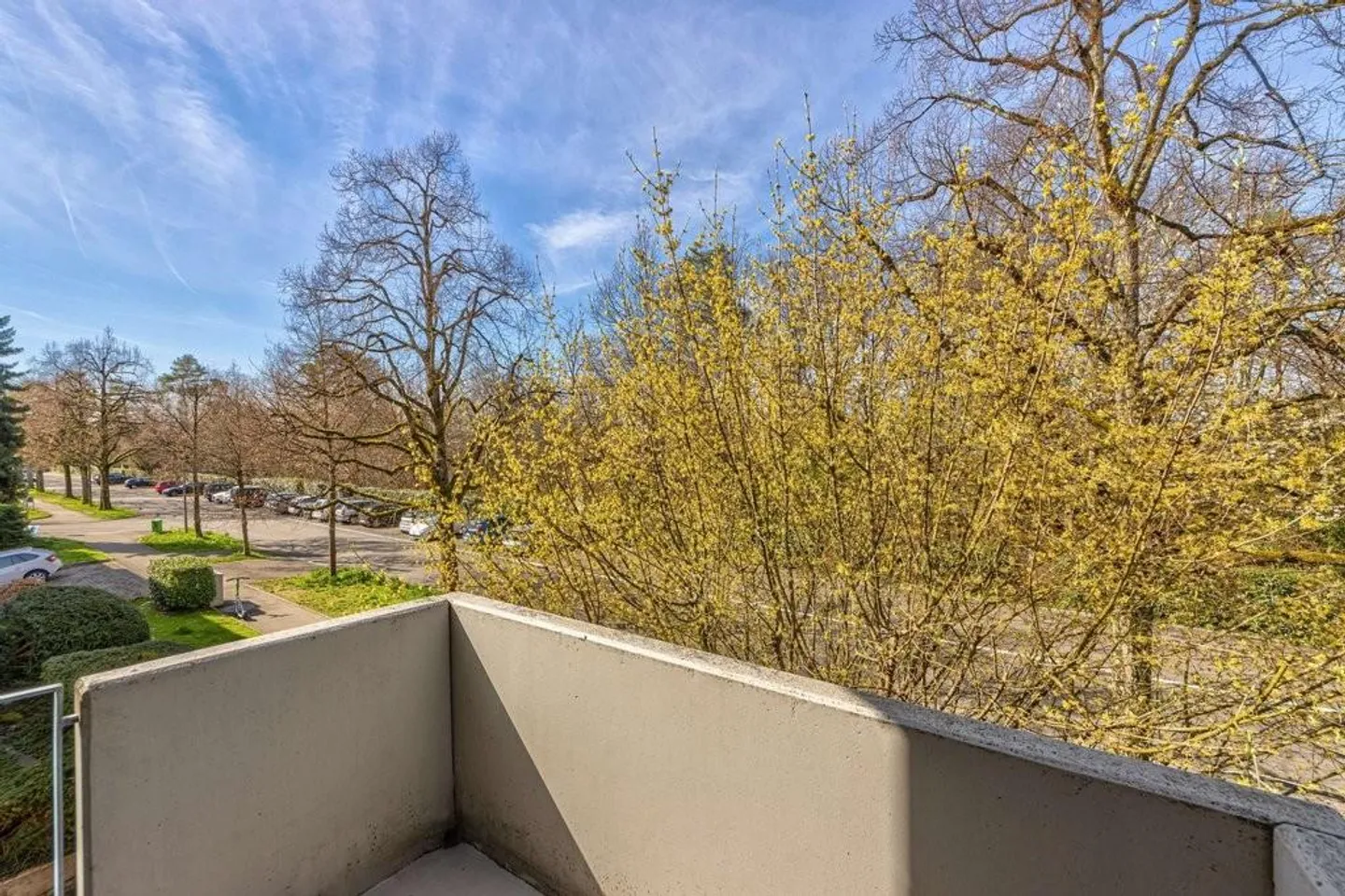 Quartiere residenziale tranquillo a Riehen - Foto 6 di 6