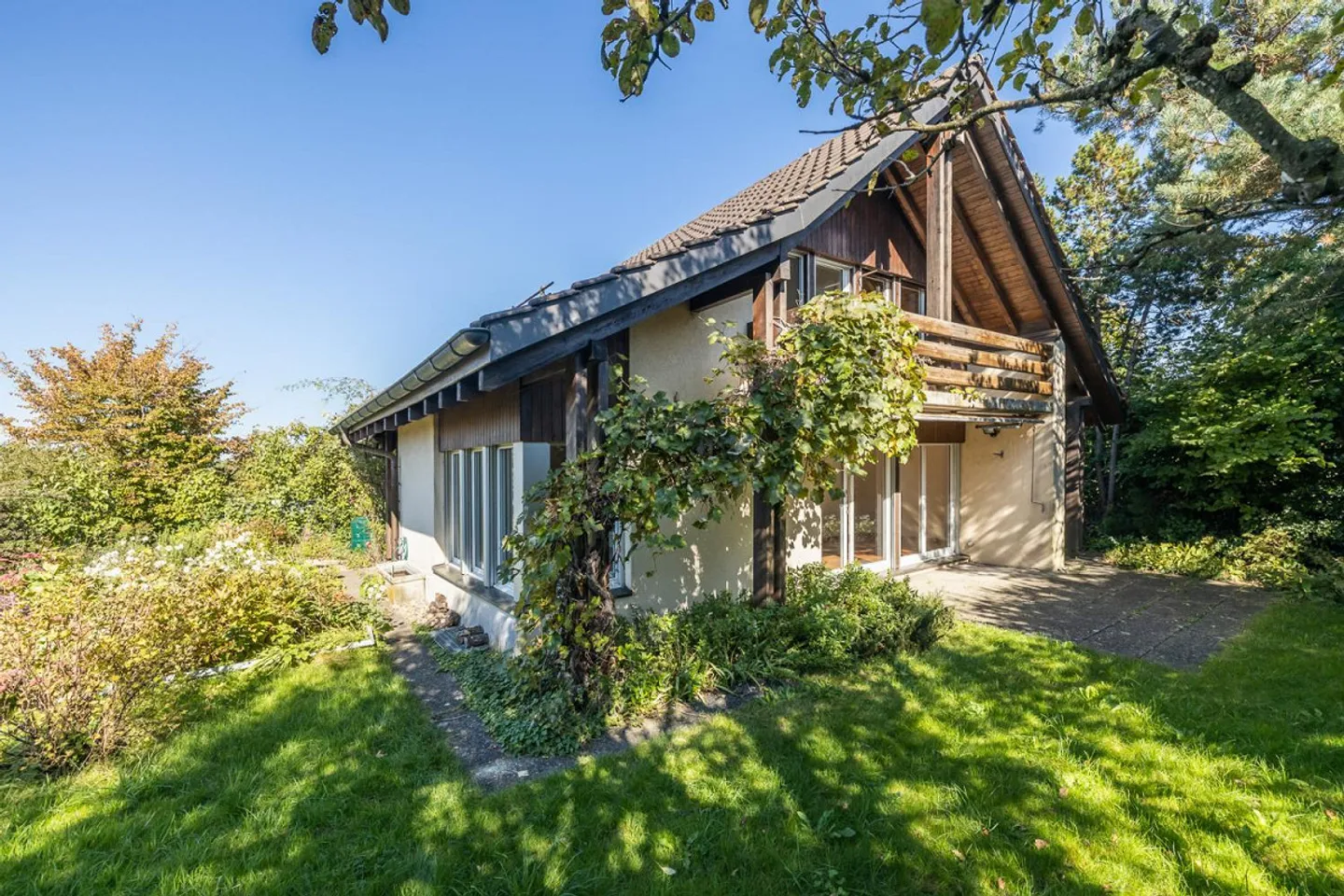 Bonheur familial dans le vert - Photo 1 sur 11