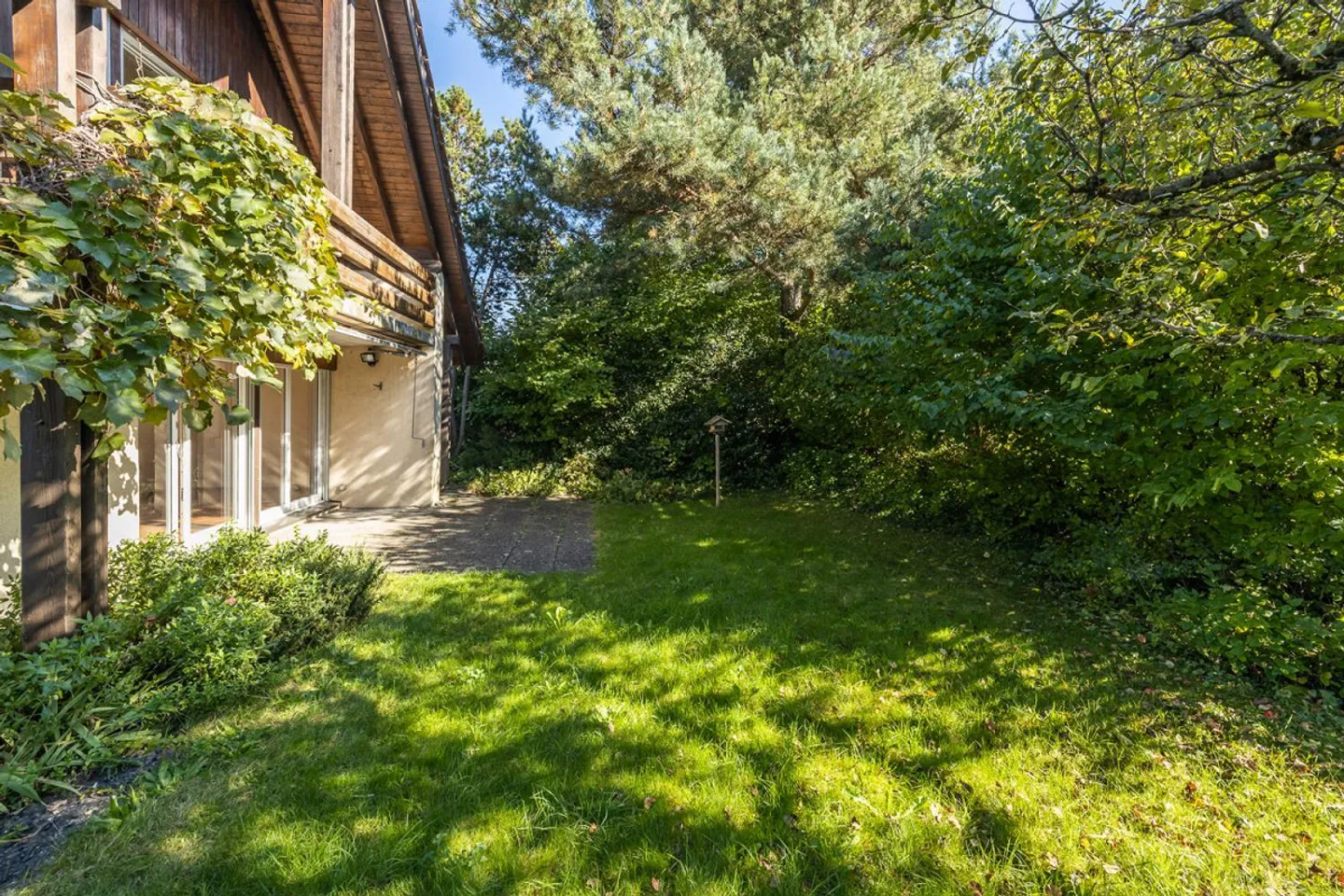 Bonheur familial dans le vert - Photo 8 sur 11