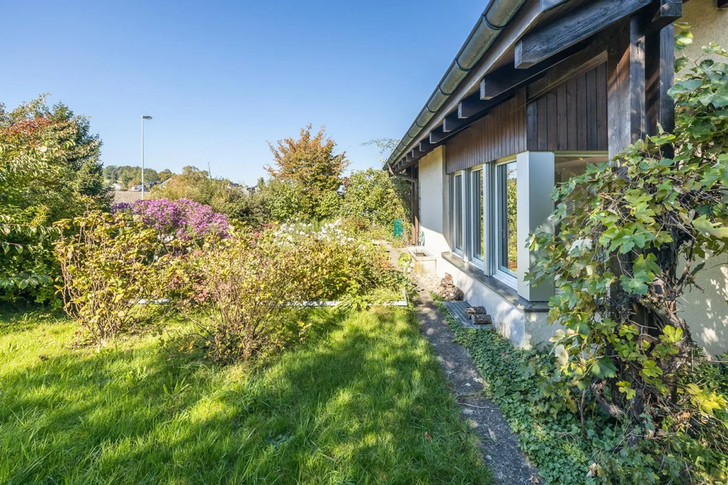 Bonheur familial dans le vert - Photo 9 sur 11