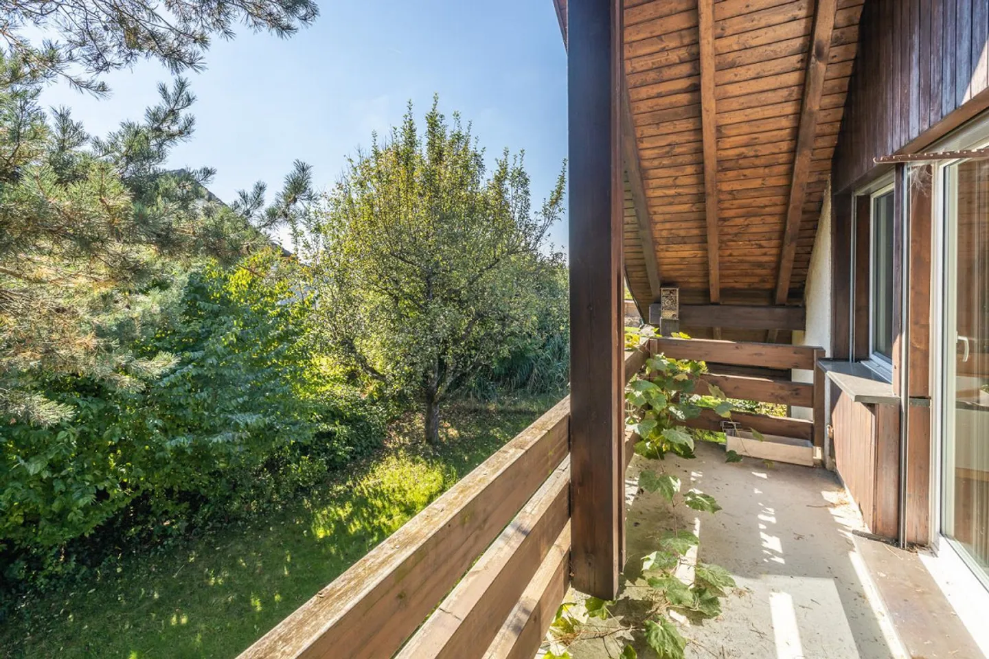 Bonheur familial dans le vert - Photo 10 sur 11