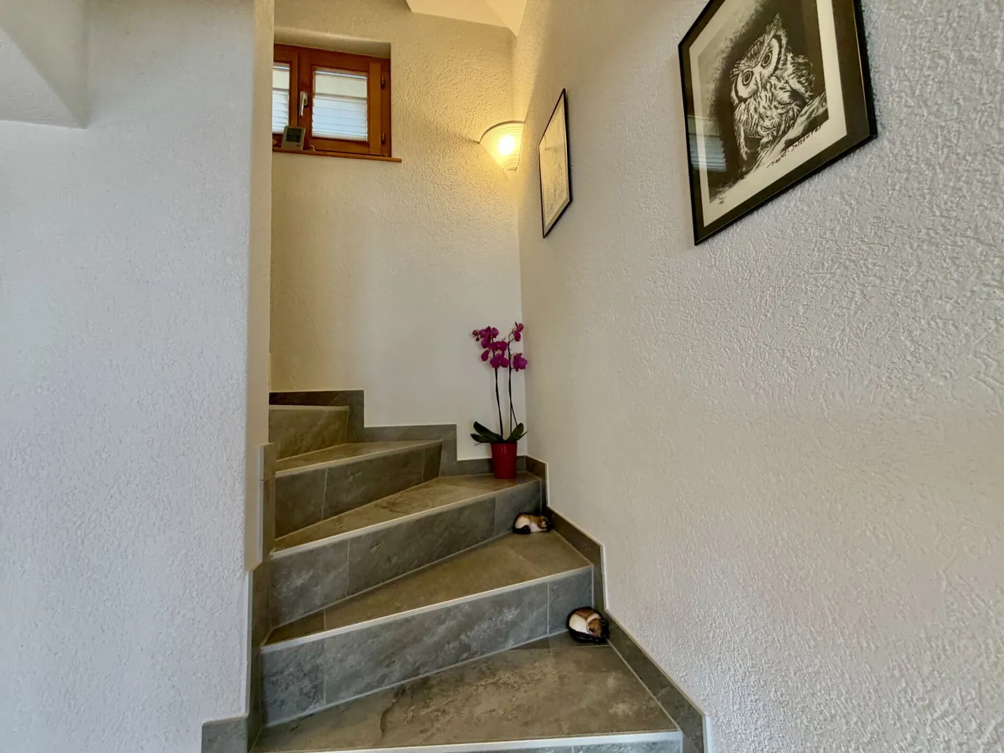 5,5-Zimmer-Haus auf 3 Ebenen mit großer Terrasse in St-Martin - Foto 27 von 36