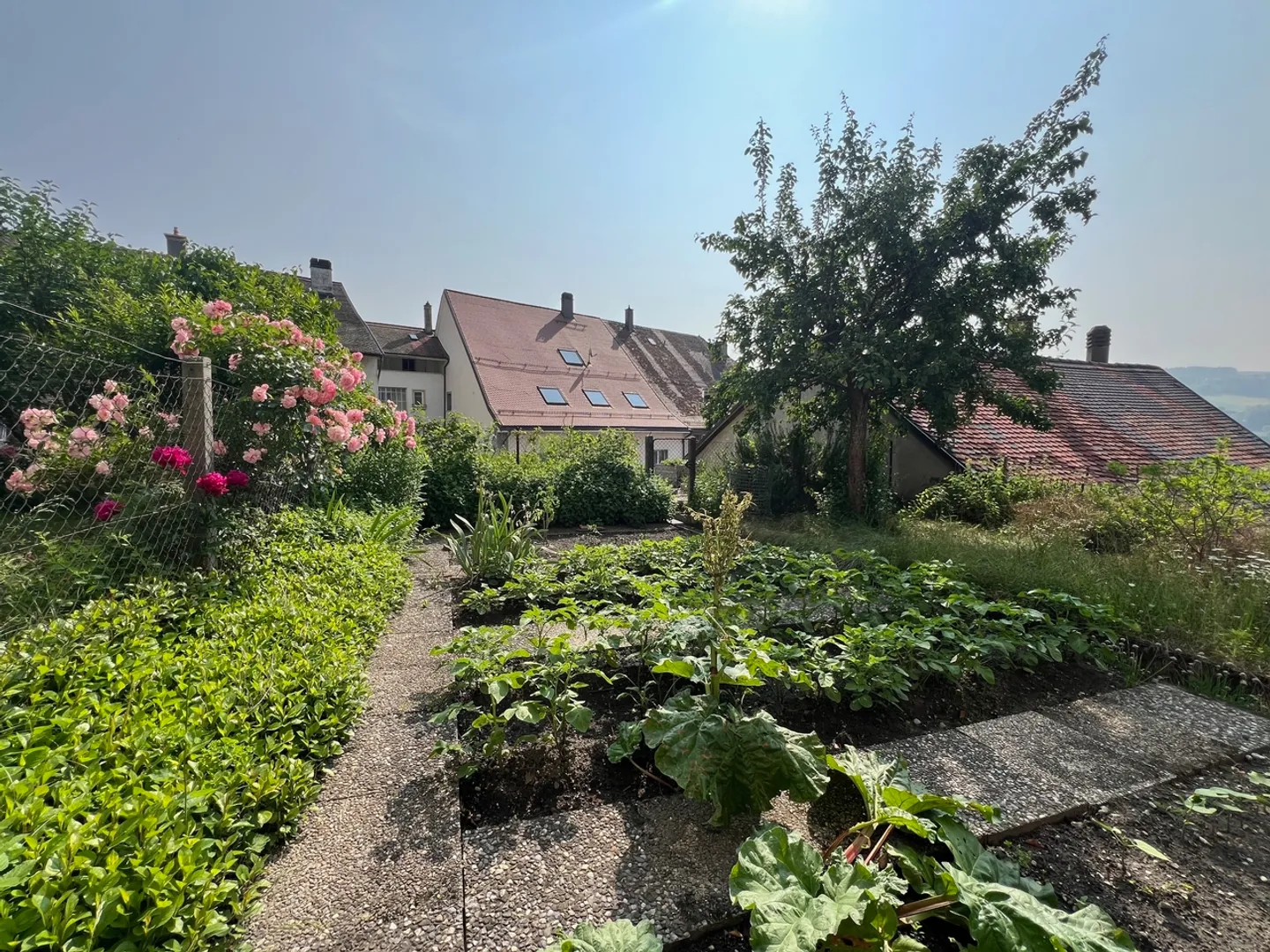 Historical House with 2 Apartments and Private Garden - Photo 9 of 9