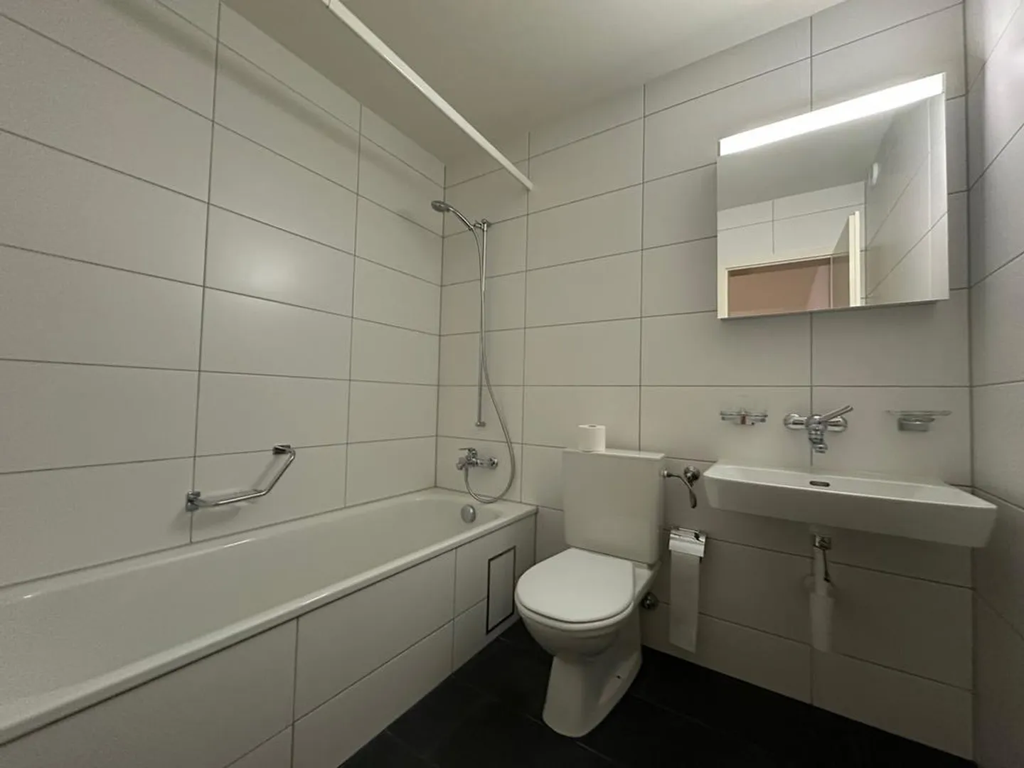 Bright and modern apartment near Schützenmattpark - Photo 5 of 8