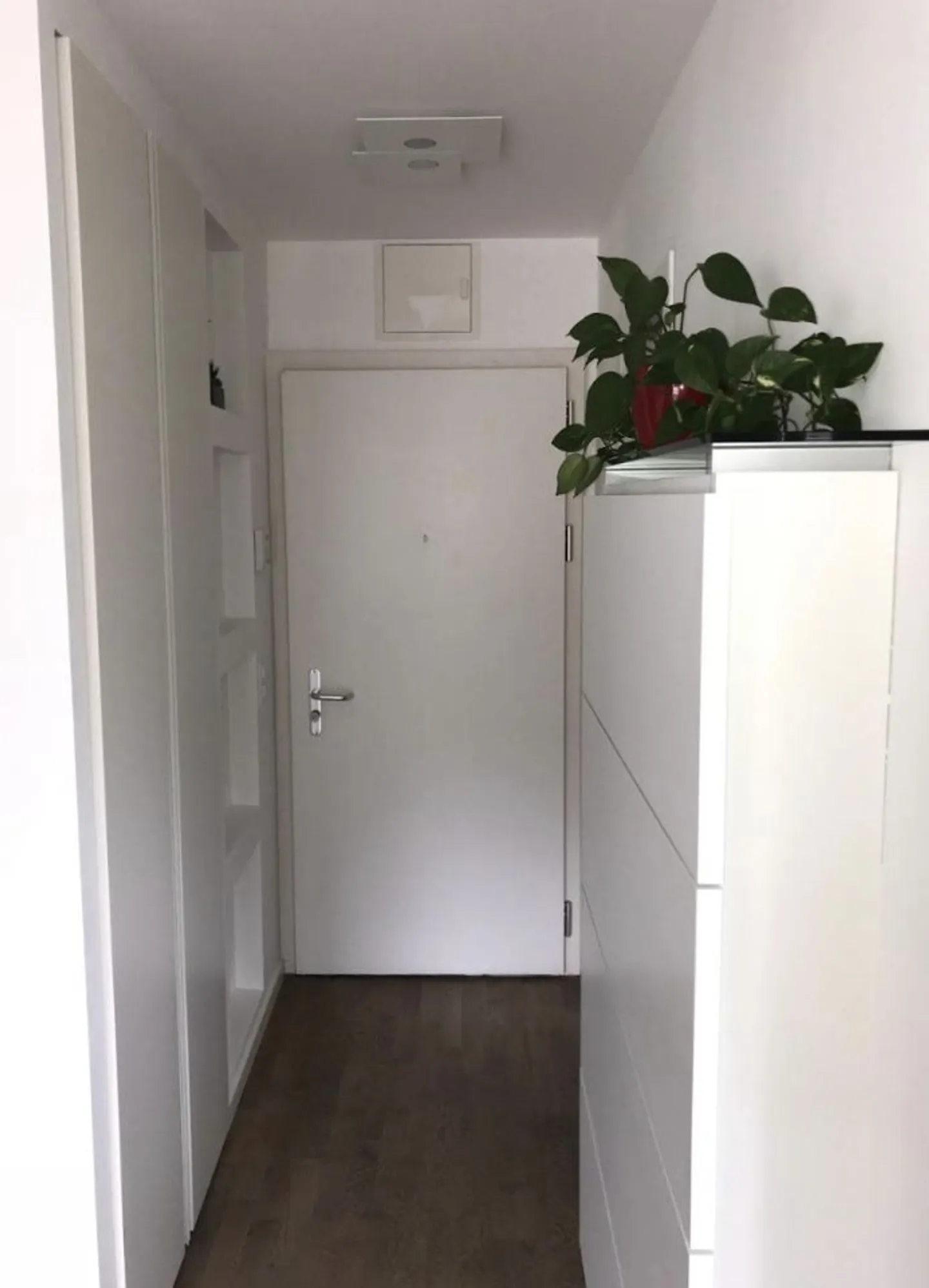 Charmante 2.5 Zimmer Wohnung - Foto 6 von 11