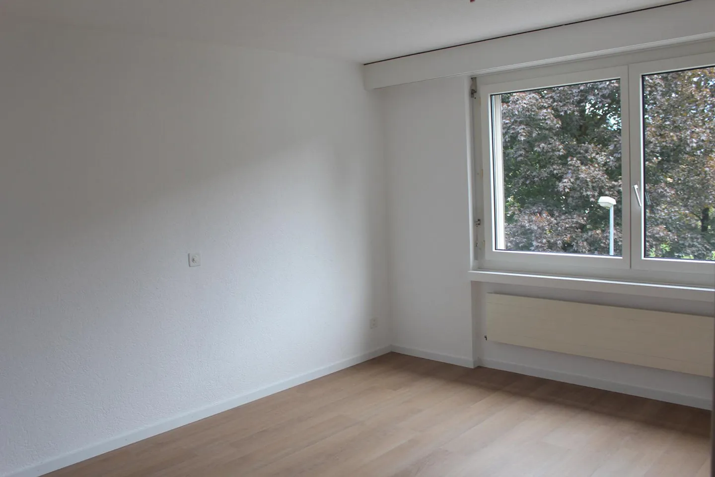 Renovated, spacious apartment in a quiet location - Photo 5 of 12