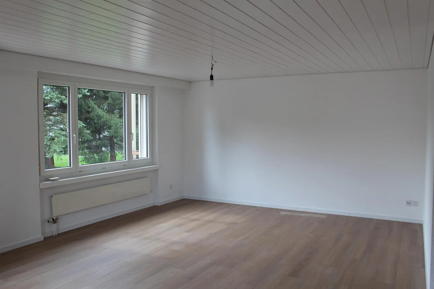 Renovated, spacious apartment in a quiet location - Photo 9 of 12