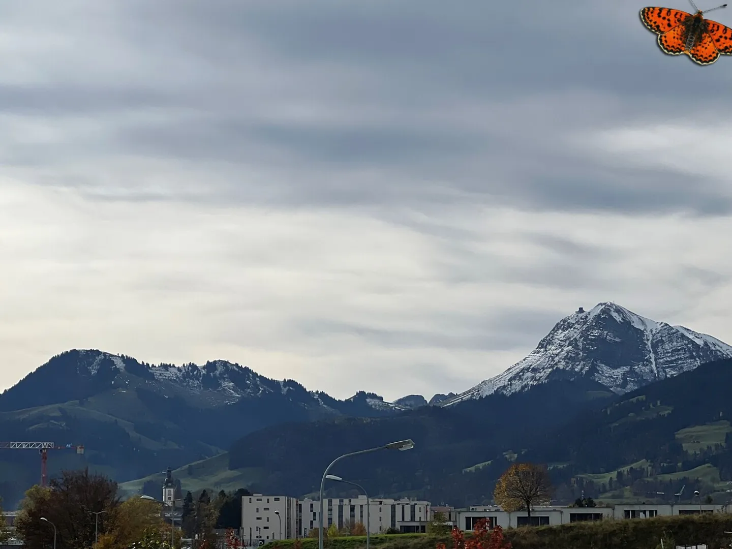 3,5-Zimmer-Wohnung - Foto 13 von 15