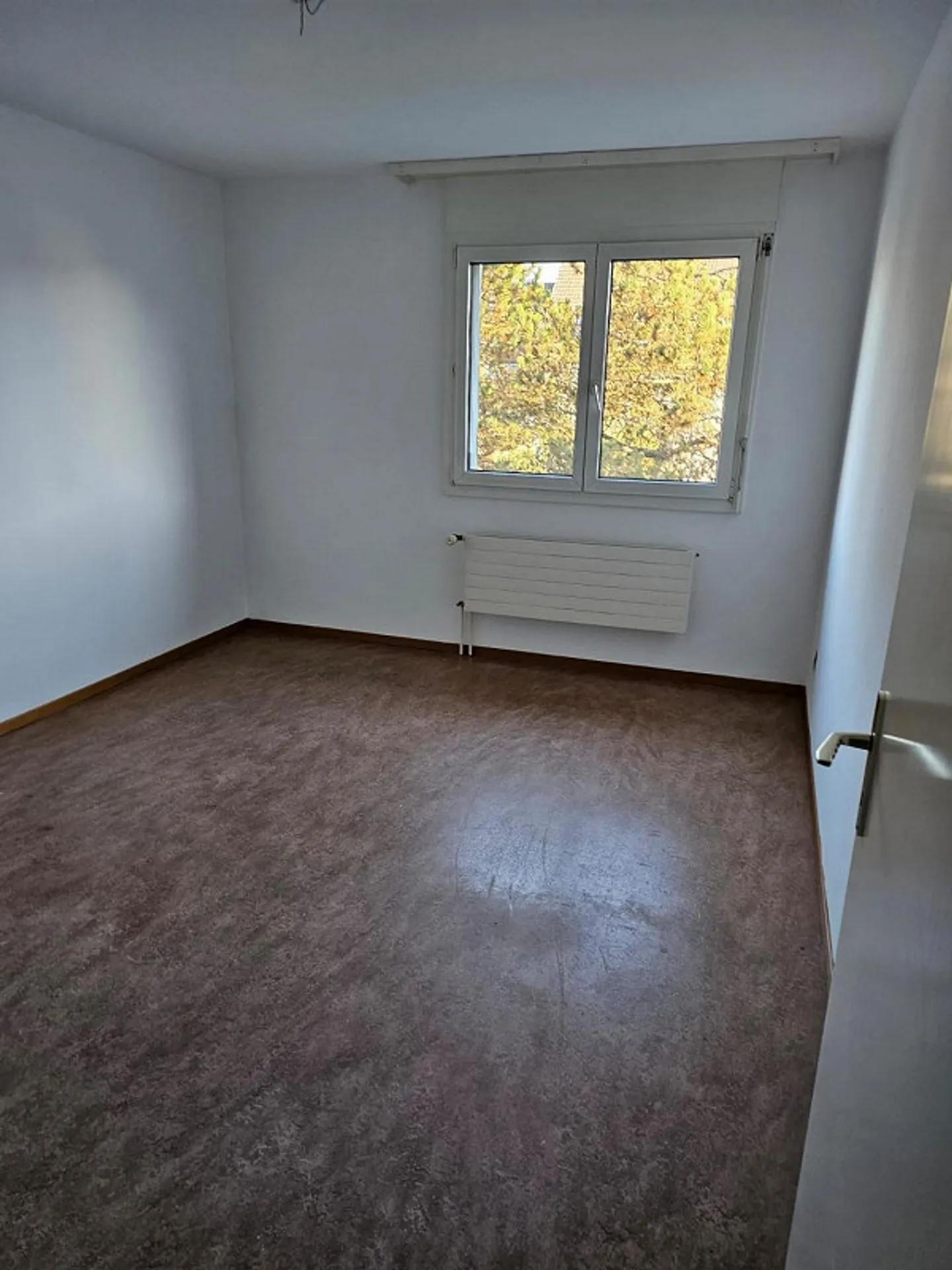 Appartement entièrement rénové, emplacement idéal - Foto 2 von 4