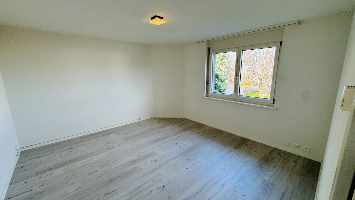 Bellissimo appartamento di 2,5 locali con ascensore, balcone, cantina, AEP e propria WM/TU - Foto 7 di 14