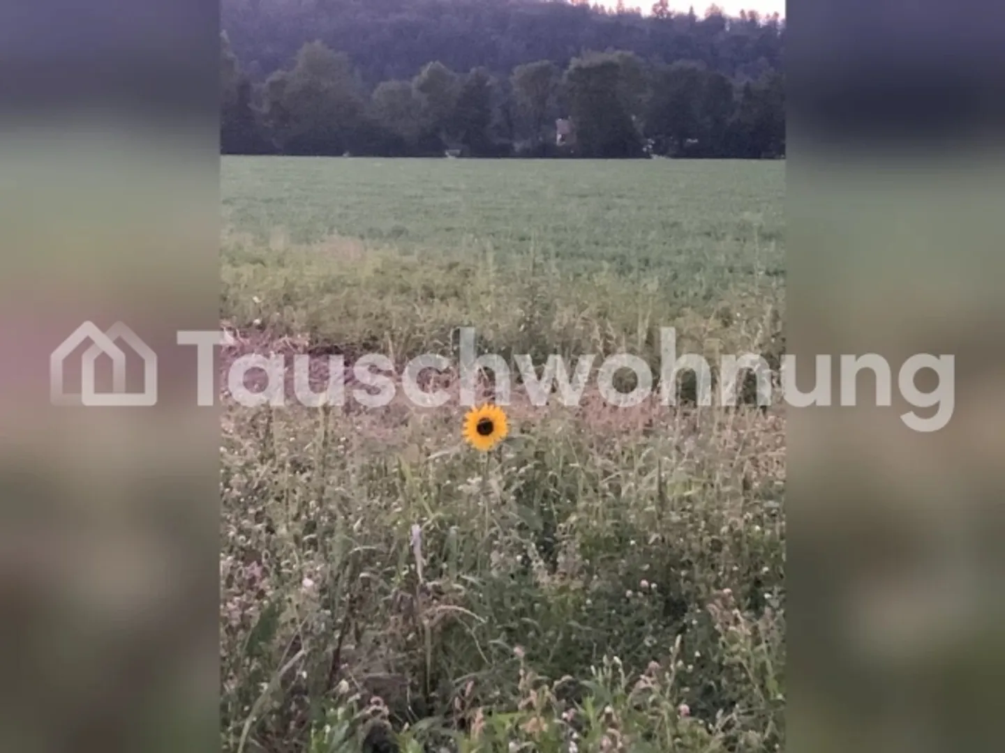 Apartment for rent - Photo 3 of 4