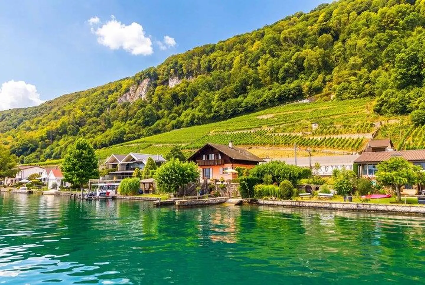 LAKE ACCESS AND BOAT SPACE - CHARMING SINGLE-FAMILY HOUSE ON BIELERSEE - Photo 7 of 8