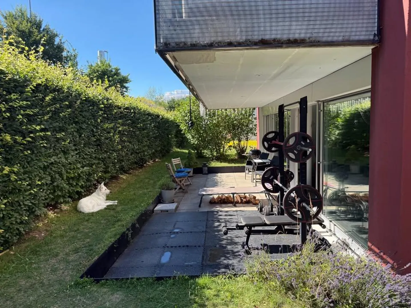 Bell'appartamento con giardino | Animali ammessi | Palestra | Temporaneo, maggio - agosto - Foto 1 di 10