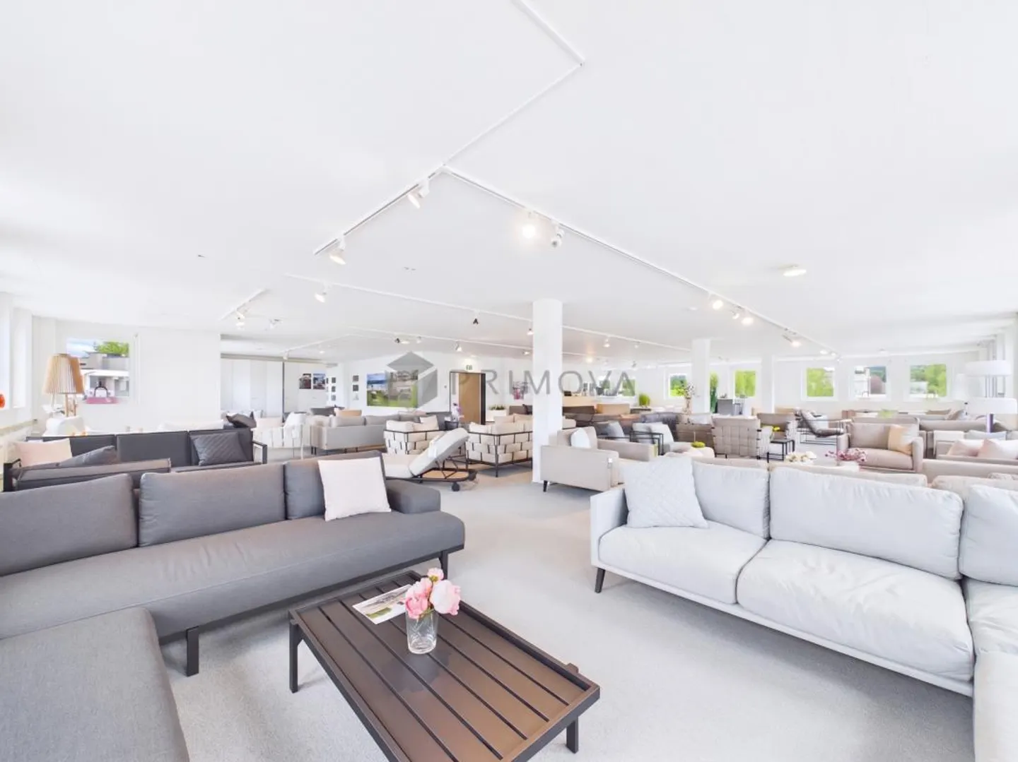 Showroom, Magazzino & Terrazza sul tetto - Foto 3 di 15