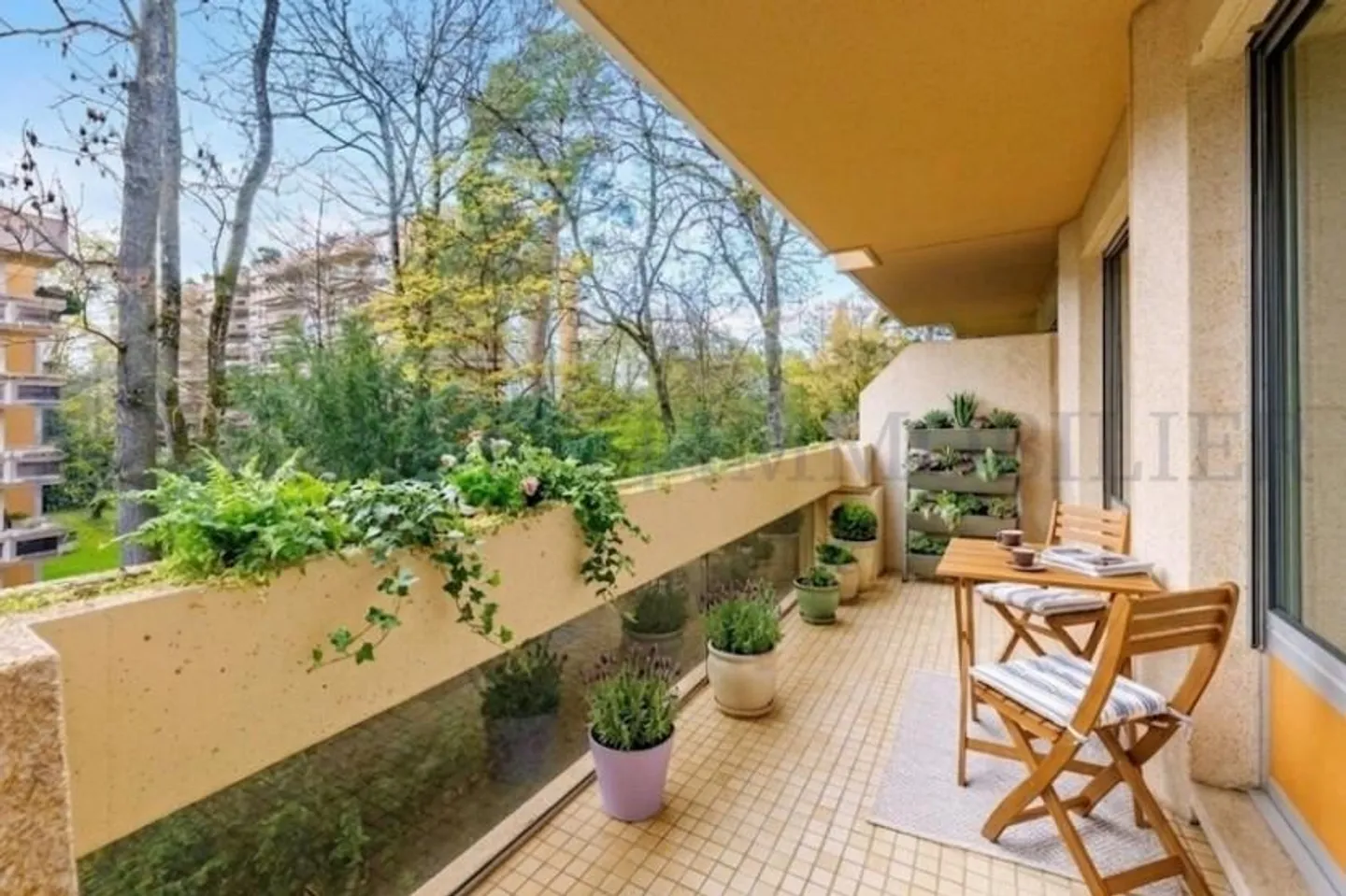 Bel appartement de 7 pièces dans le quartier de Malagnou/Florissant - Photo 3 sur 9