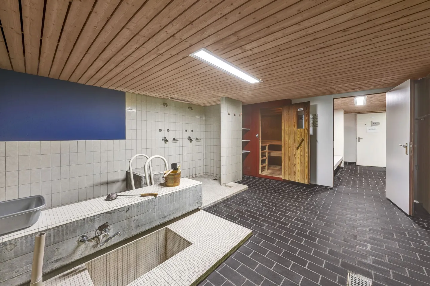 Vivere come in una casa unifamiliare! Immenso appartamento duplex ben curato con panorama sull'Alpstein e piscina - Foto 52 di 67
