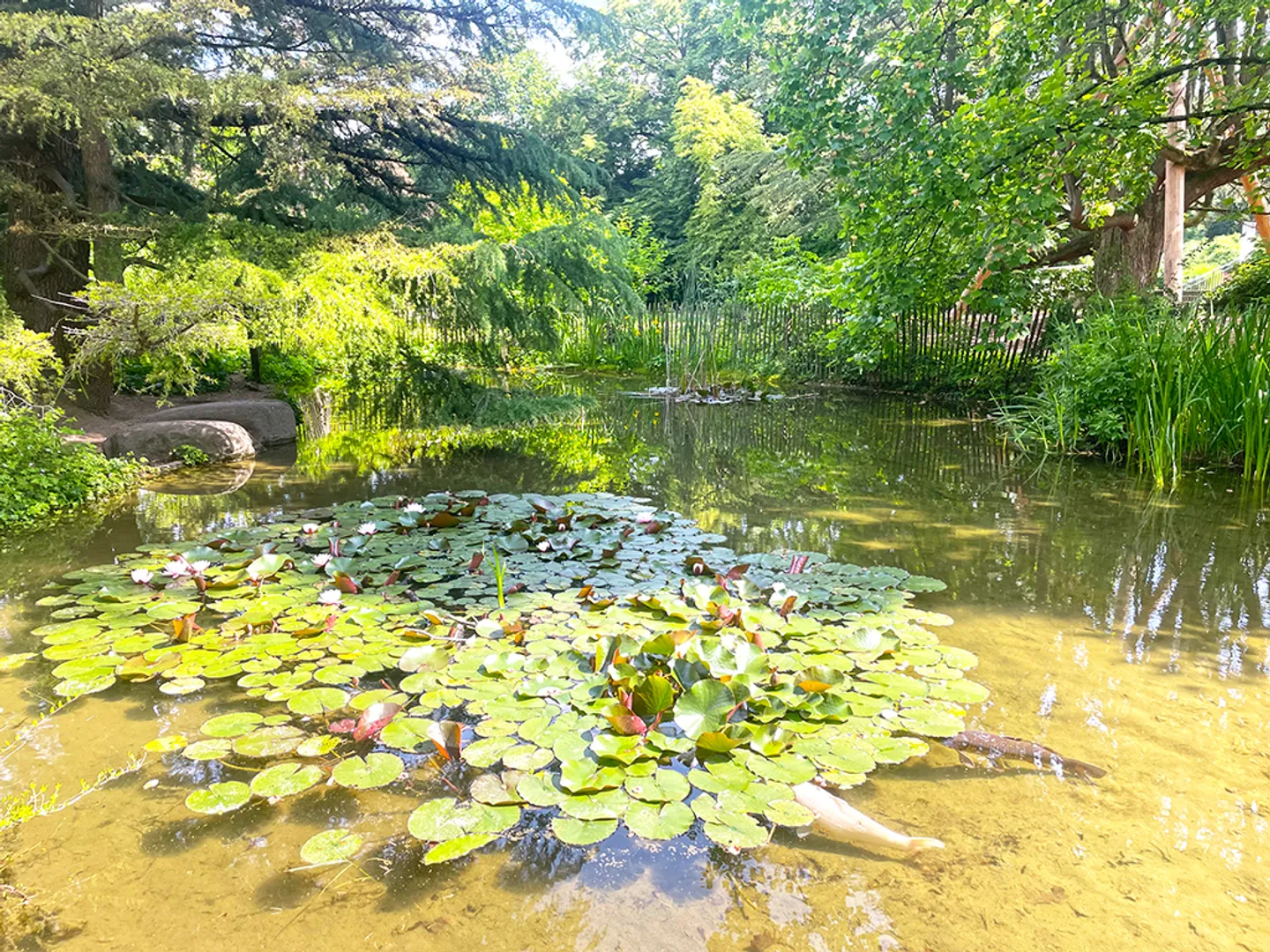 Duplex 5.5 stanze - Foto 1 di 4