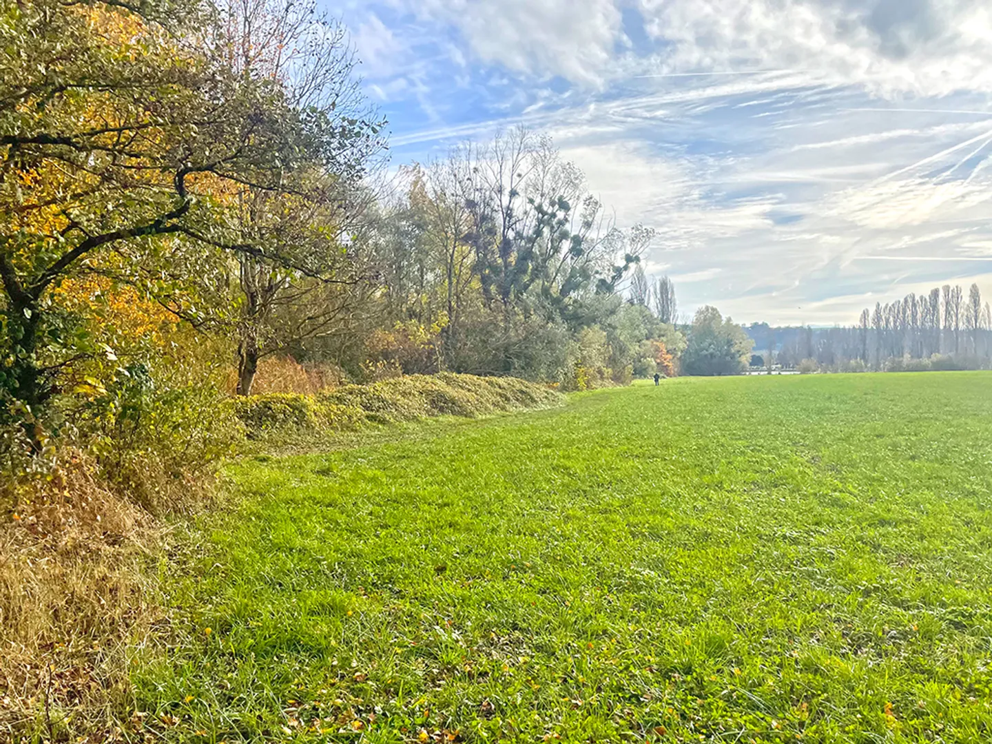 Duplex 5.5 stanze - Foto 3 di 4