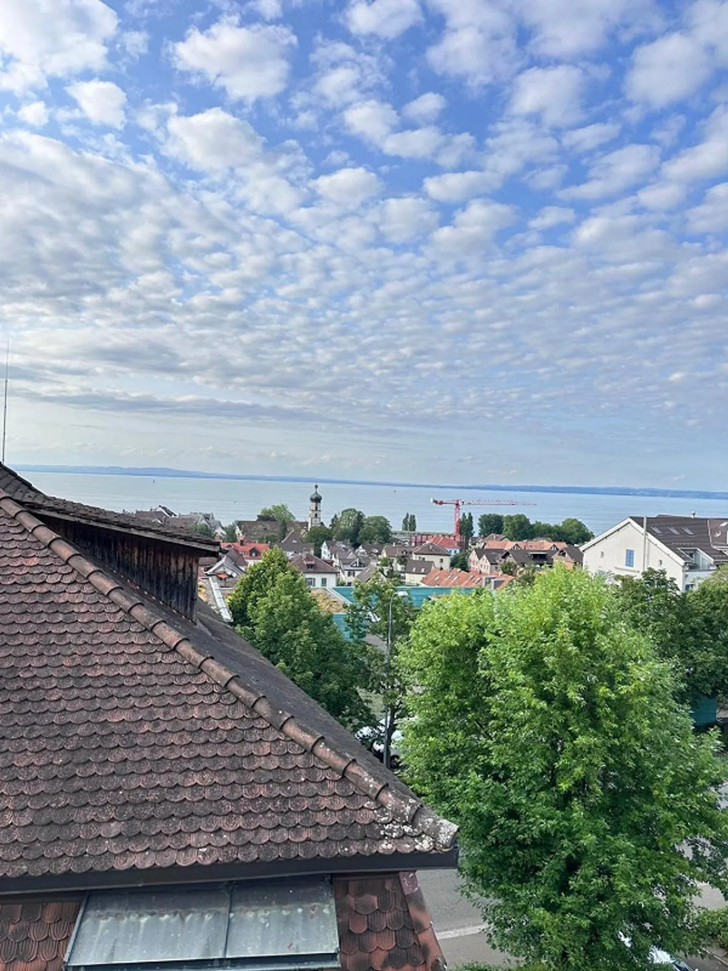 Appartamento 2.5 stanze completamente ristrutturato in una posizione centrale - Foto 5 di 7