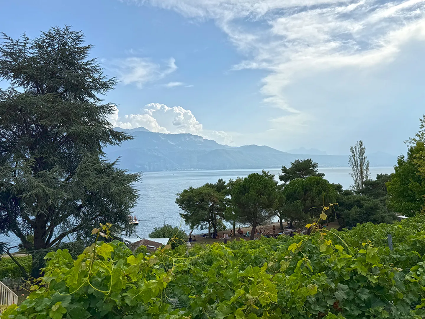 RIVAZ - RAVISSANT APPARTEMENT - 4.5 PIECES - Photo 1 sur 6