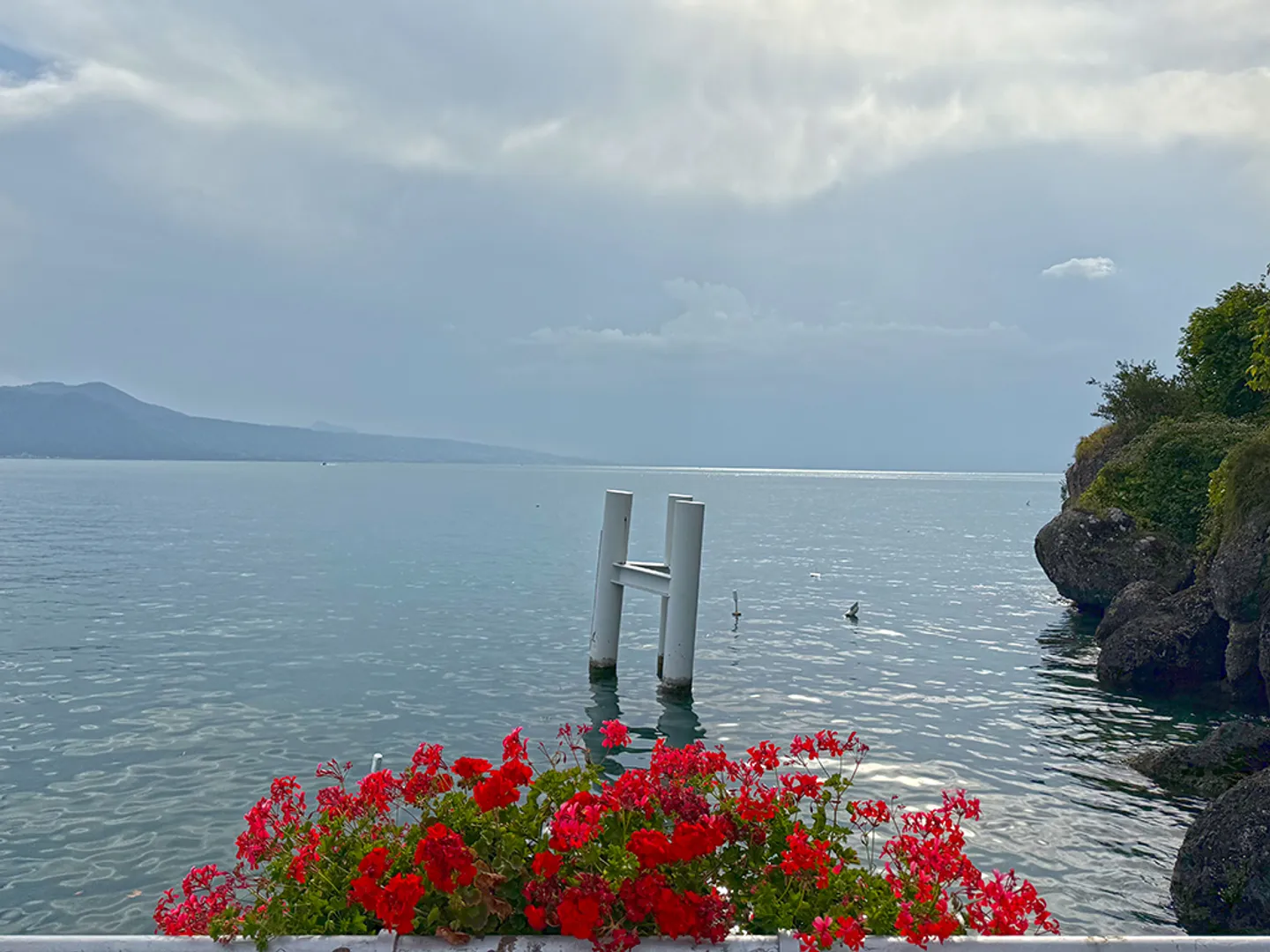 RIVAZ - RAVISSANT APPARTEMENT - 4.5 PIECES - Photo 6 sur 6