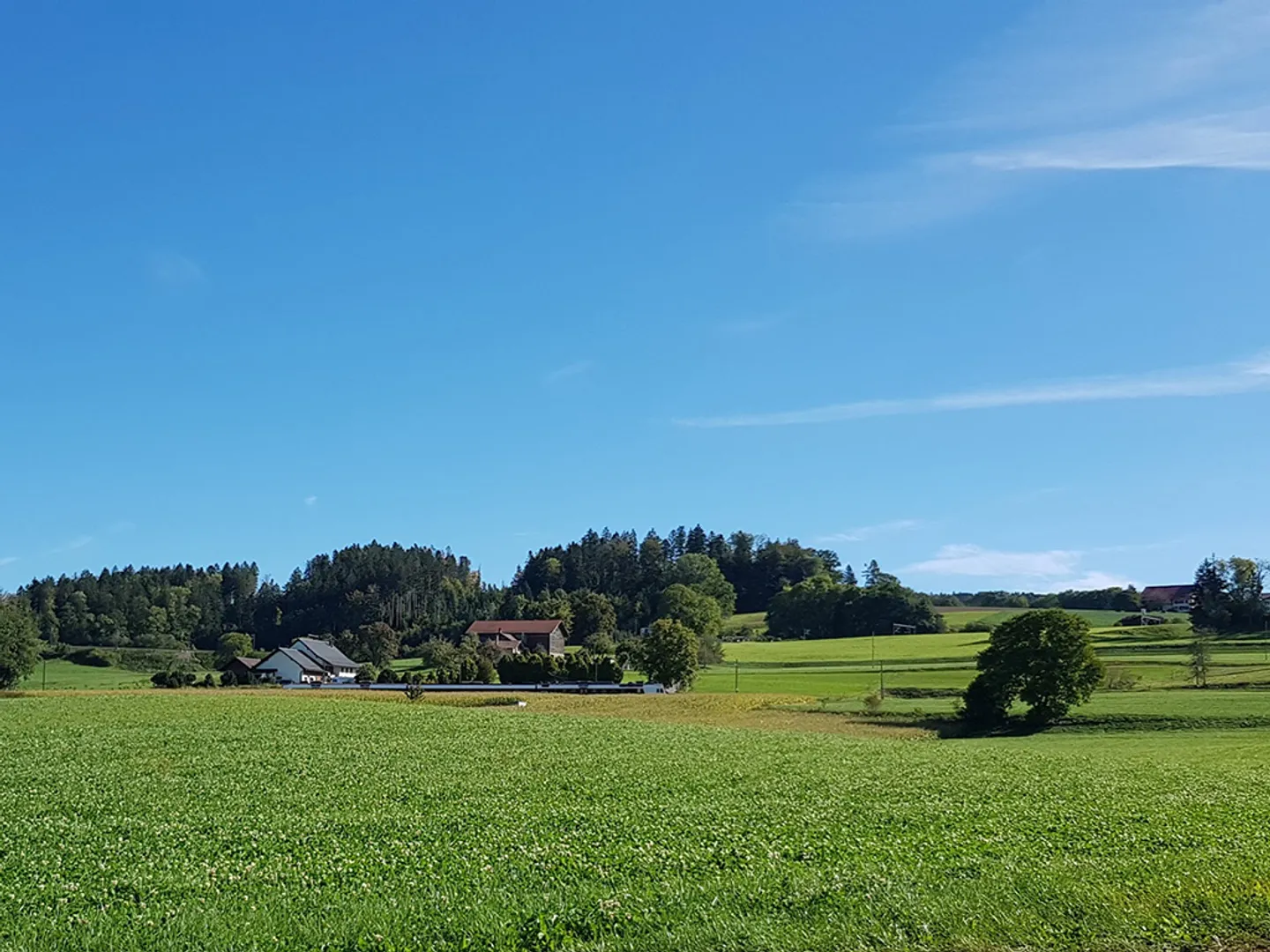 Duplex 5.5 stanze - Foto 3 di 4