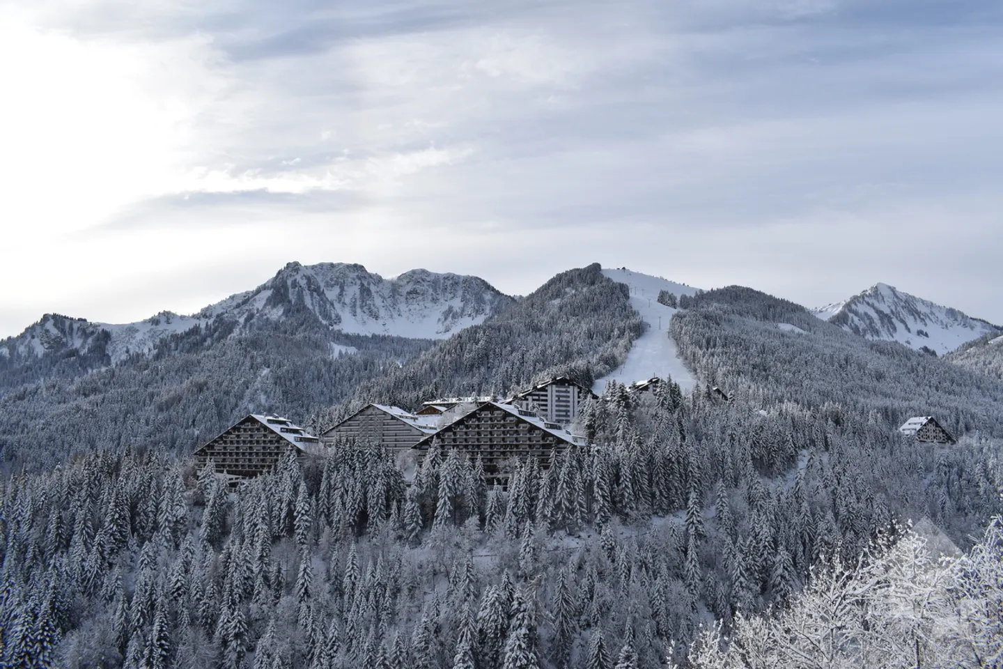 Torgon, studio with terrace in the residence le Cleuset - Photo 10 of 13