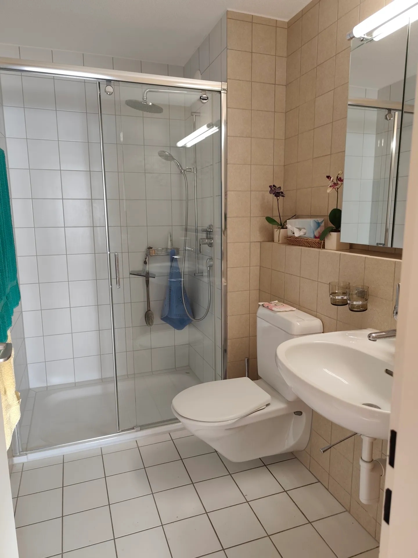 4½ ZI-WOHNUNG IN GEROLFINGEN (BE), MÖBLIERT, TEMPORÄR - Foto 10 von 10