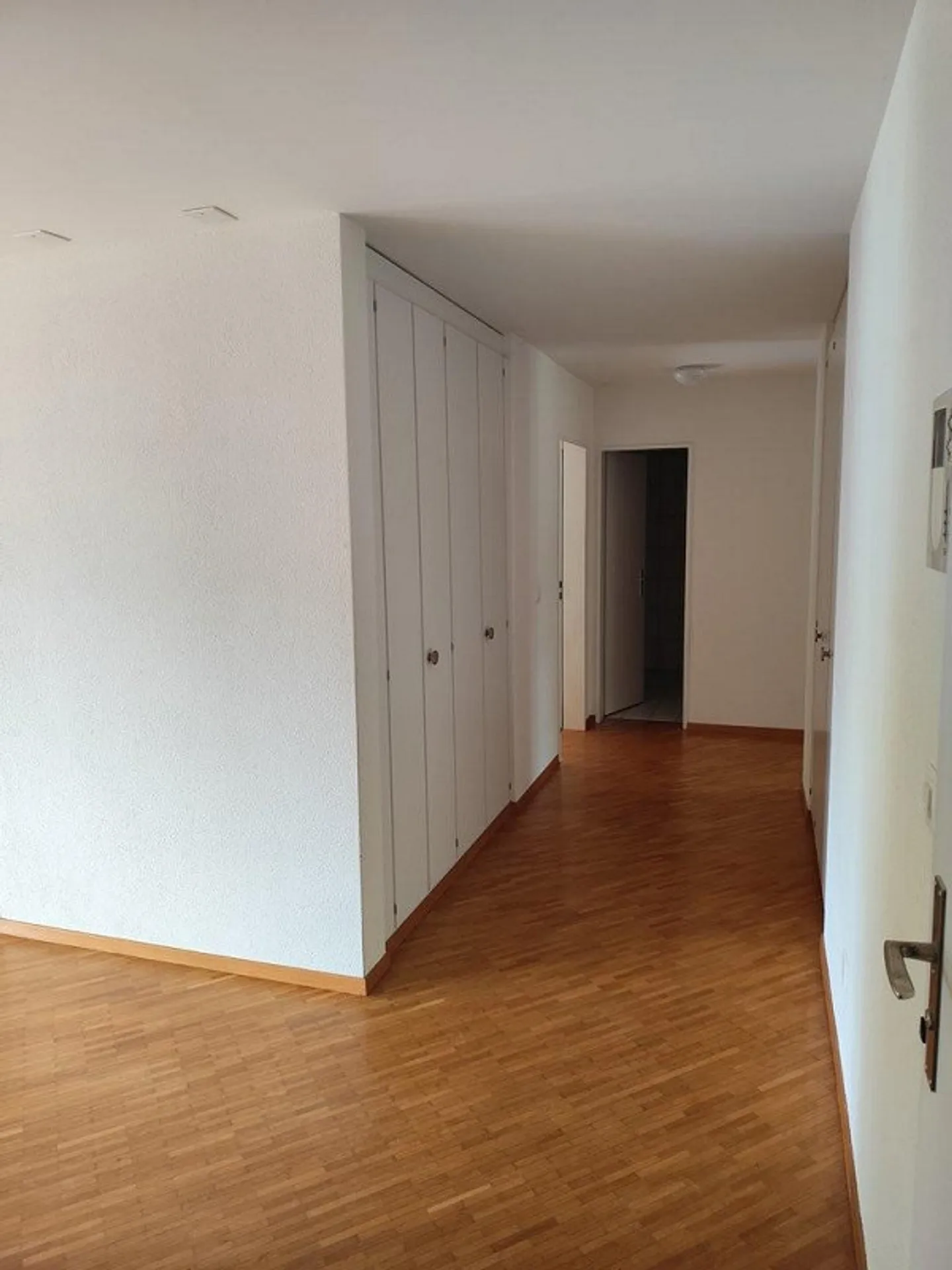 Bright Apartment in Zürich-Höngg - Photo 5 of 12