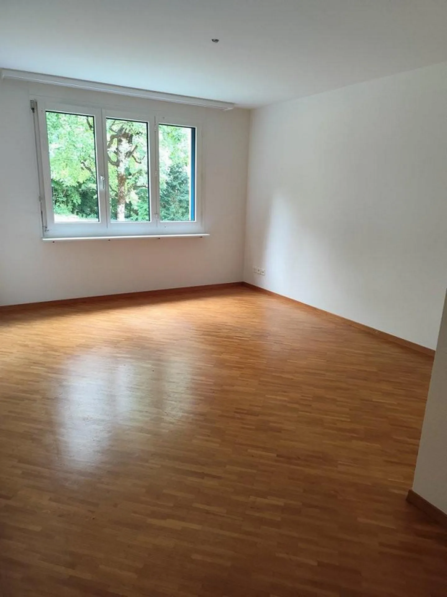 Bright Apartment in Zürich-Höngg - Photo 11 of 12