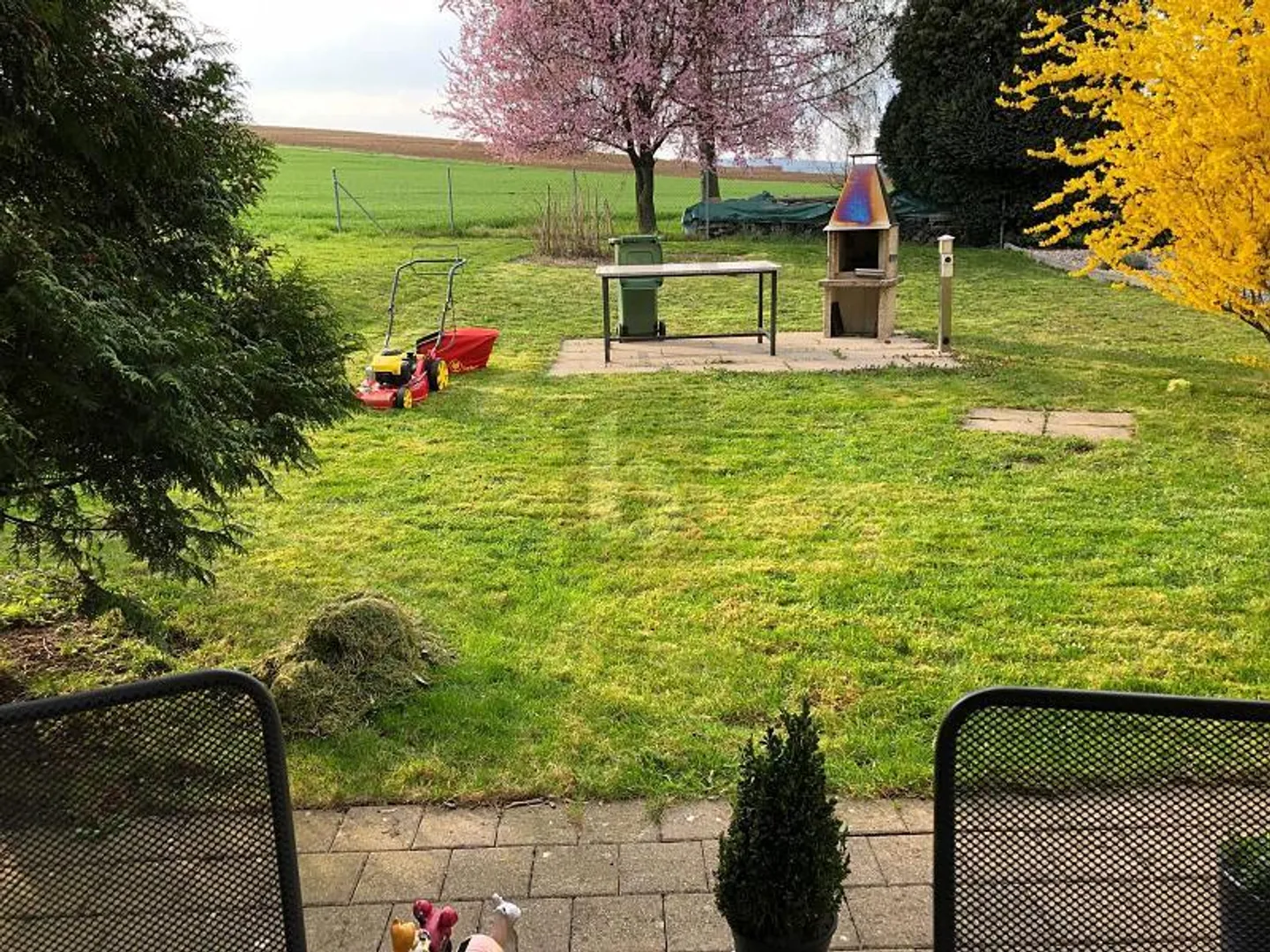 Appartamento luminoso con grande giardino - Foto 1 di 6