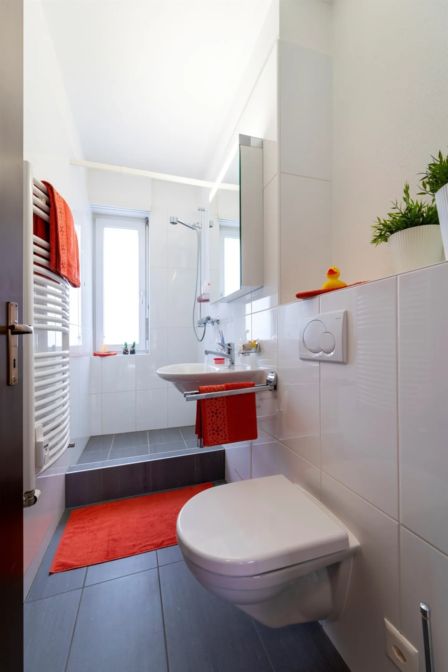 Spacious Apartment in Viganello - Photo 7 of 10