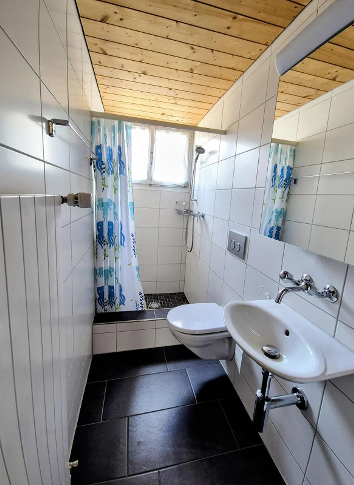 5 ½ - Room Ground Floor Apartment in Gunzgen – Lots of Space to Live - Photo 7 of 11