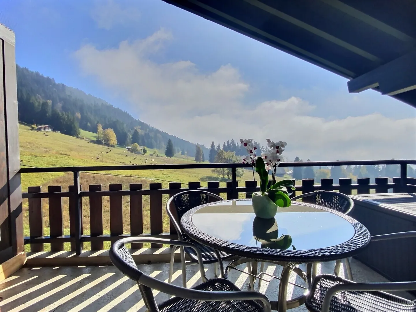 25 30 New: Charming studio with stunning view - Photo 1 of 8