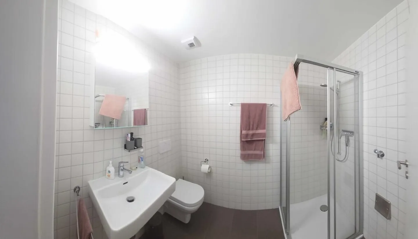 A saisir ! Magnifique appartement à Sierre ! - Photo 8 sur 9