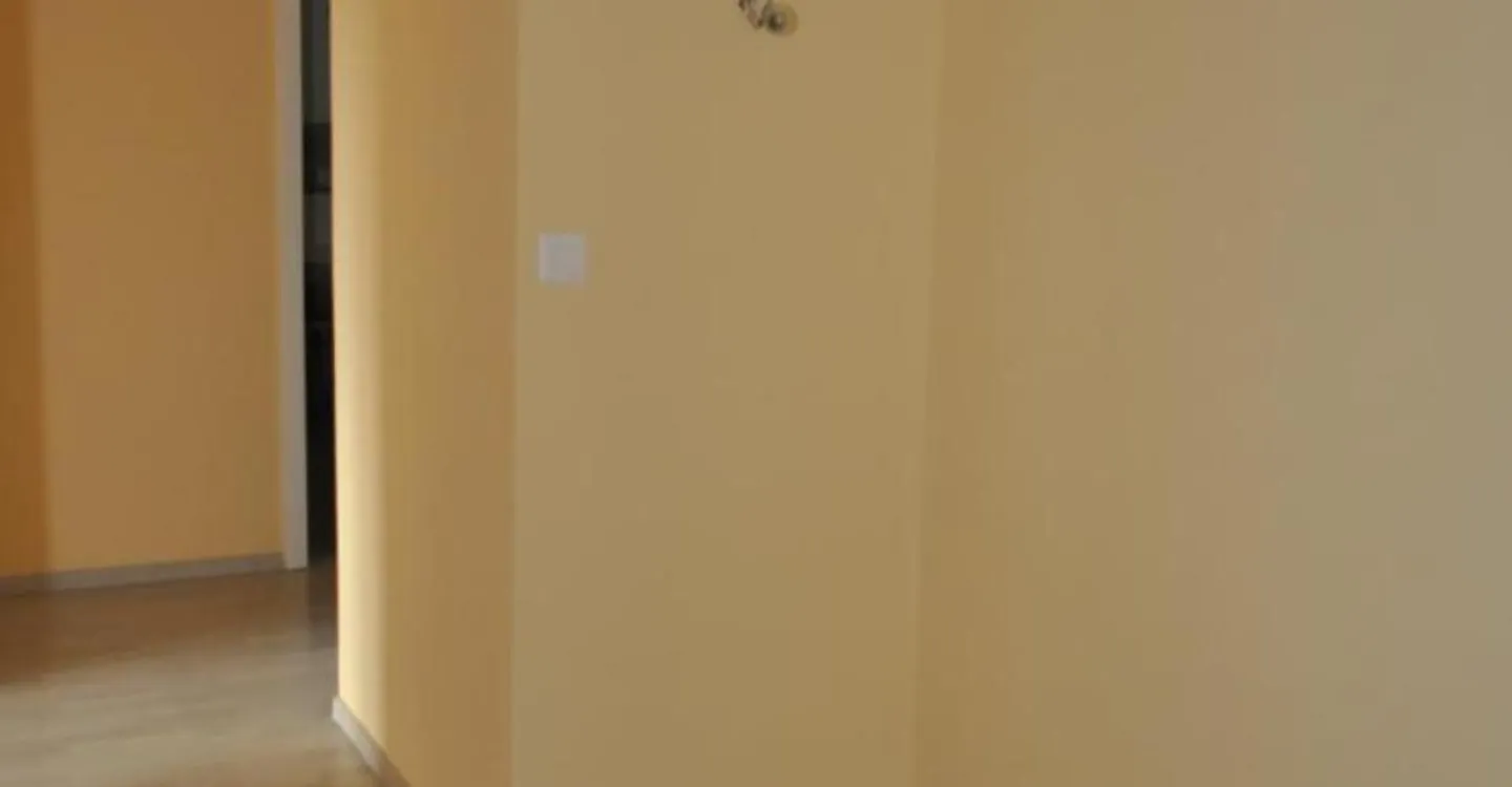 Ampio appartamento 4.5 locali - Foto 10 di 11