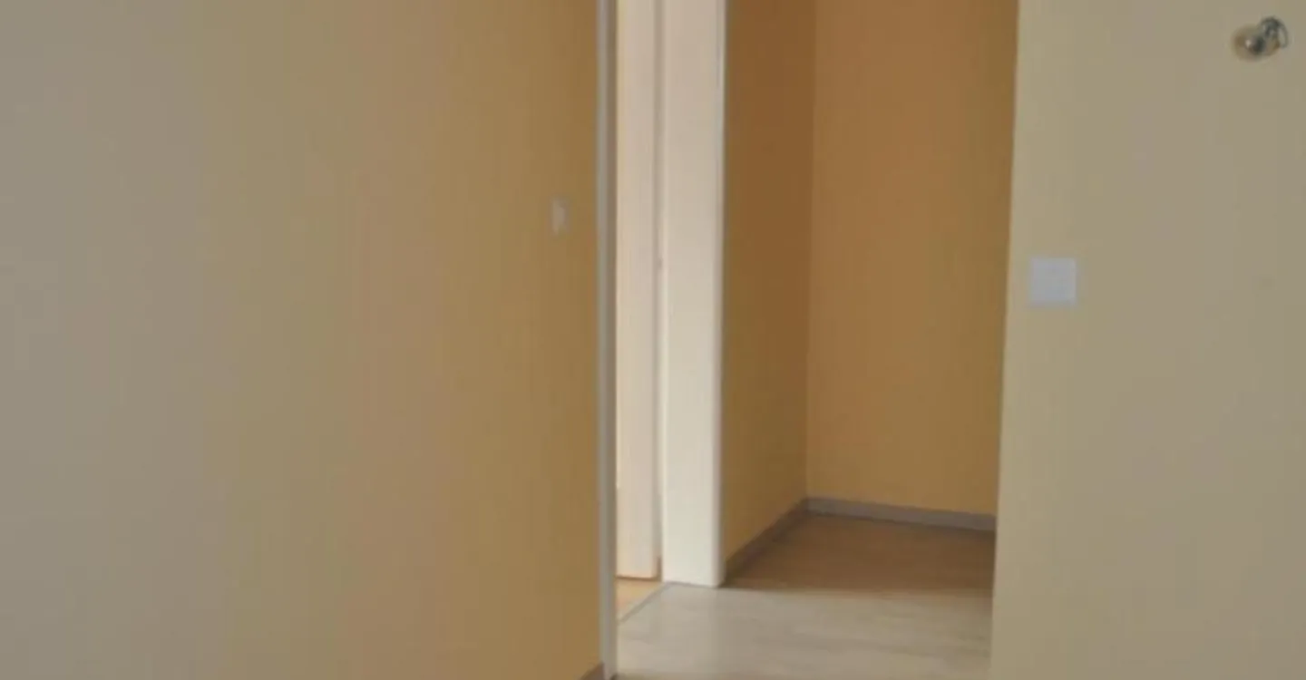 Ampio appartamento 4.5 locali - Foto 3 di 11