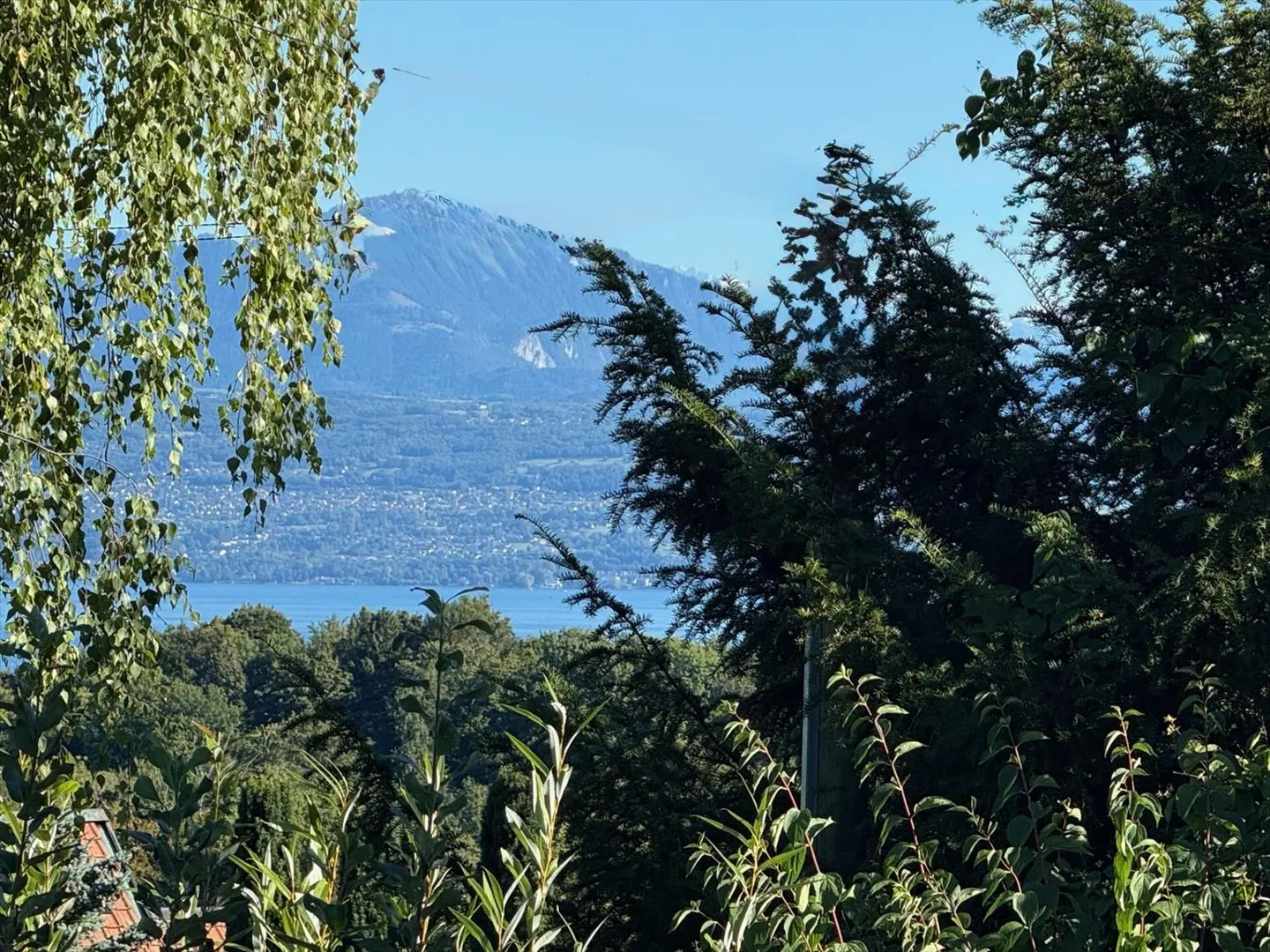 Einfamilienhaus mit Garagen 5.5 Zimmer in Morges - Foto 2 von 7